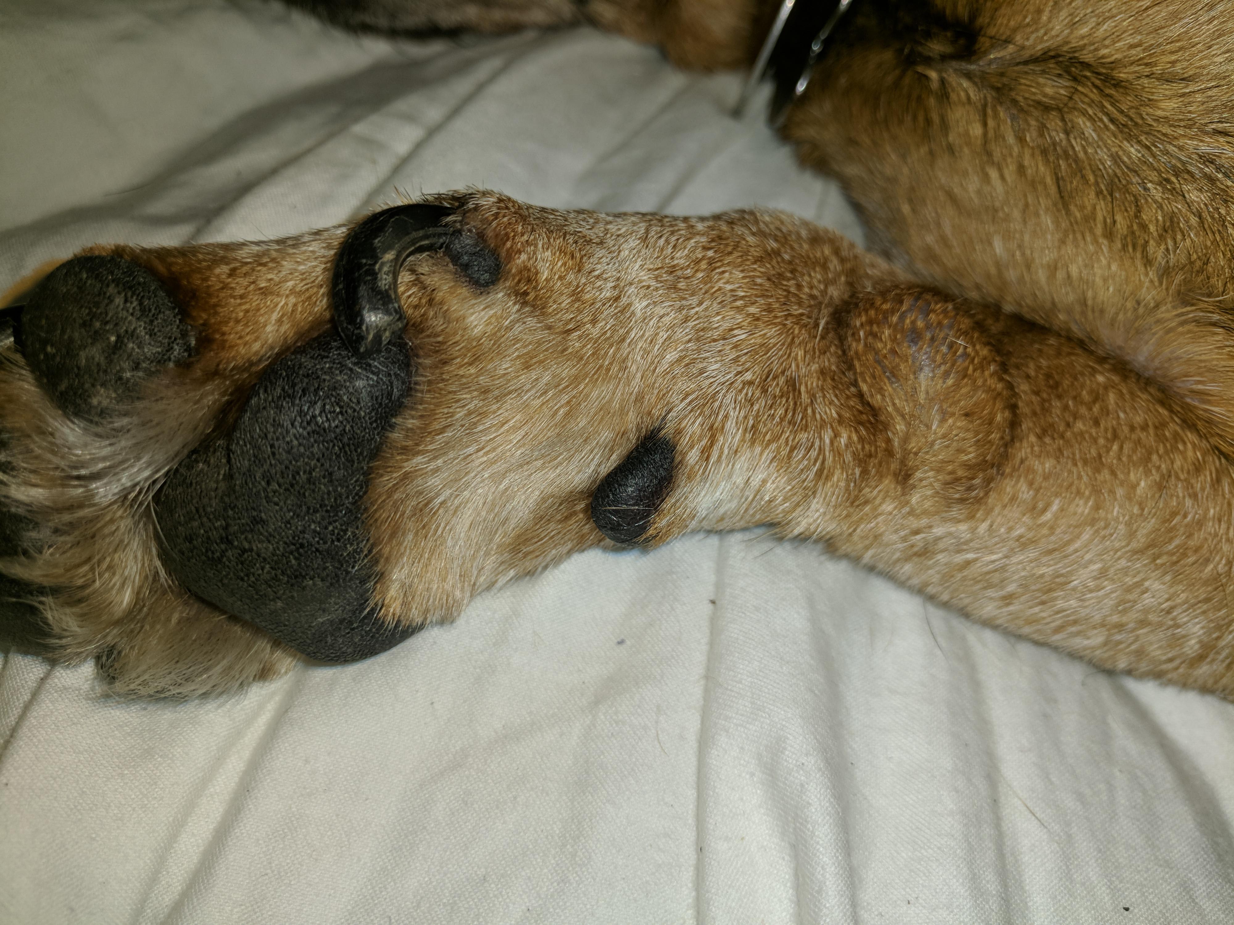 Question details sensitive content