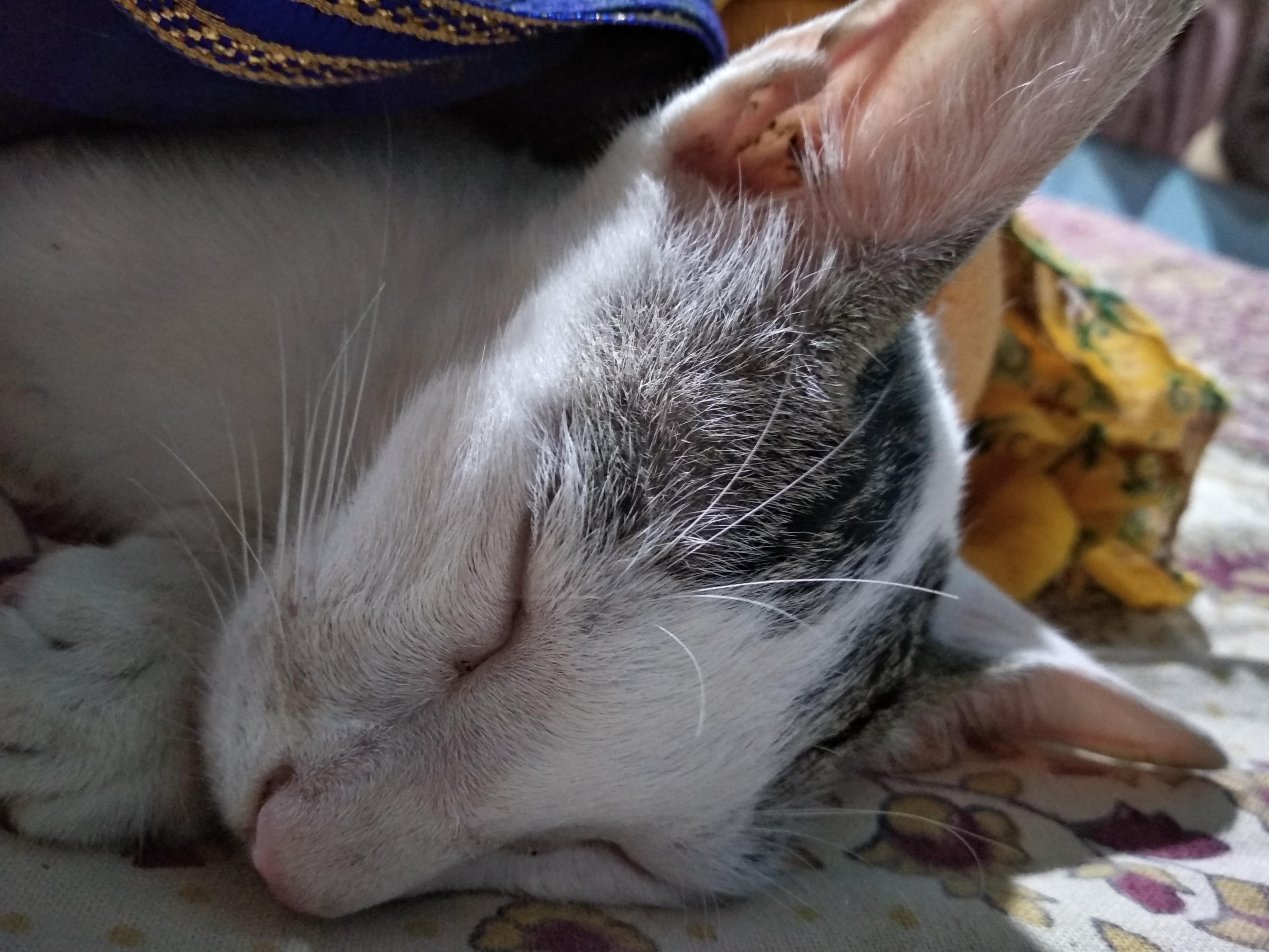 Question details sensitive content