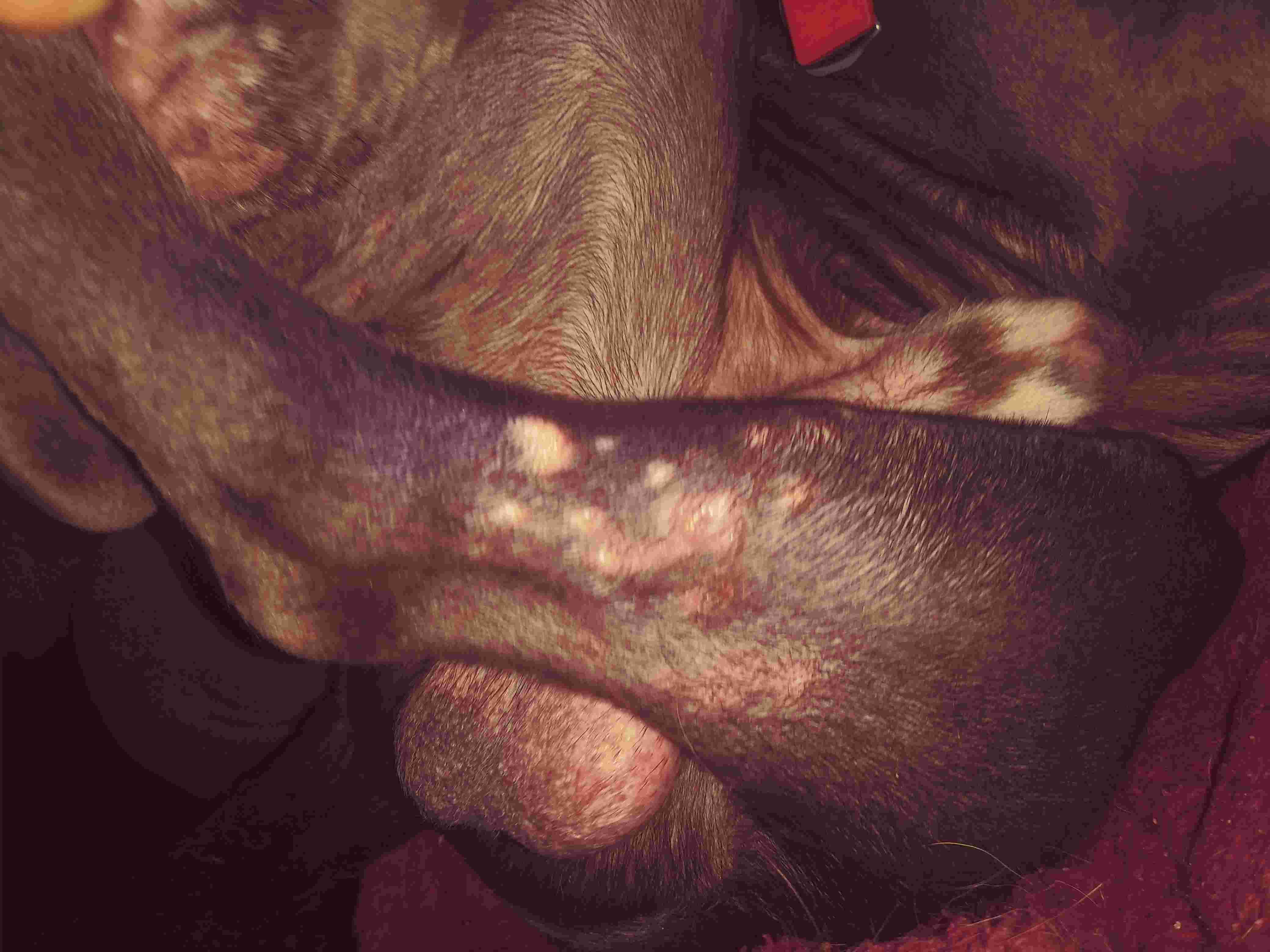 Question details sensitive content