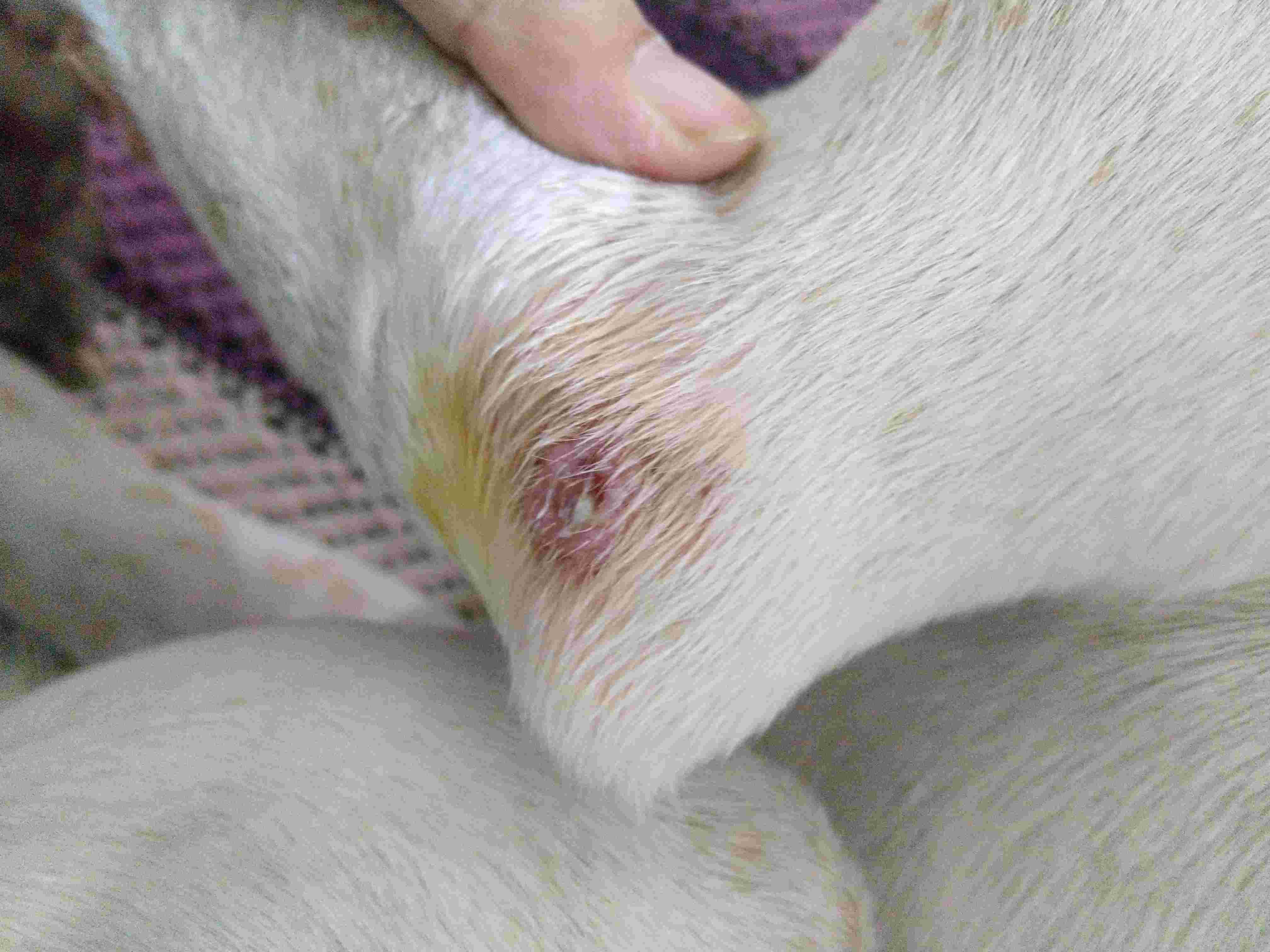 Question details sensitive content