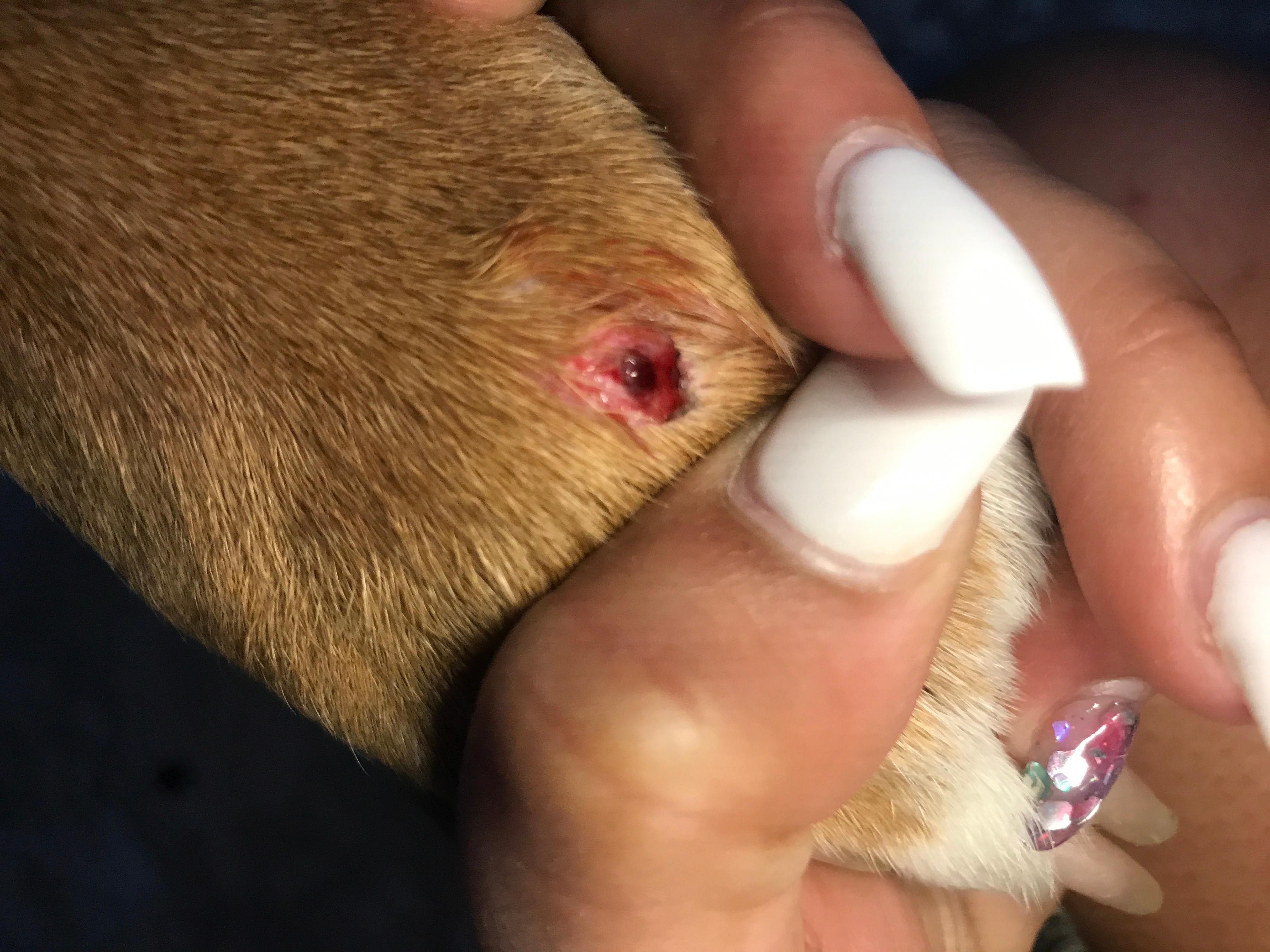 Question details sensitive content