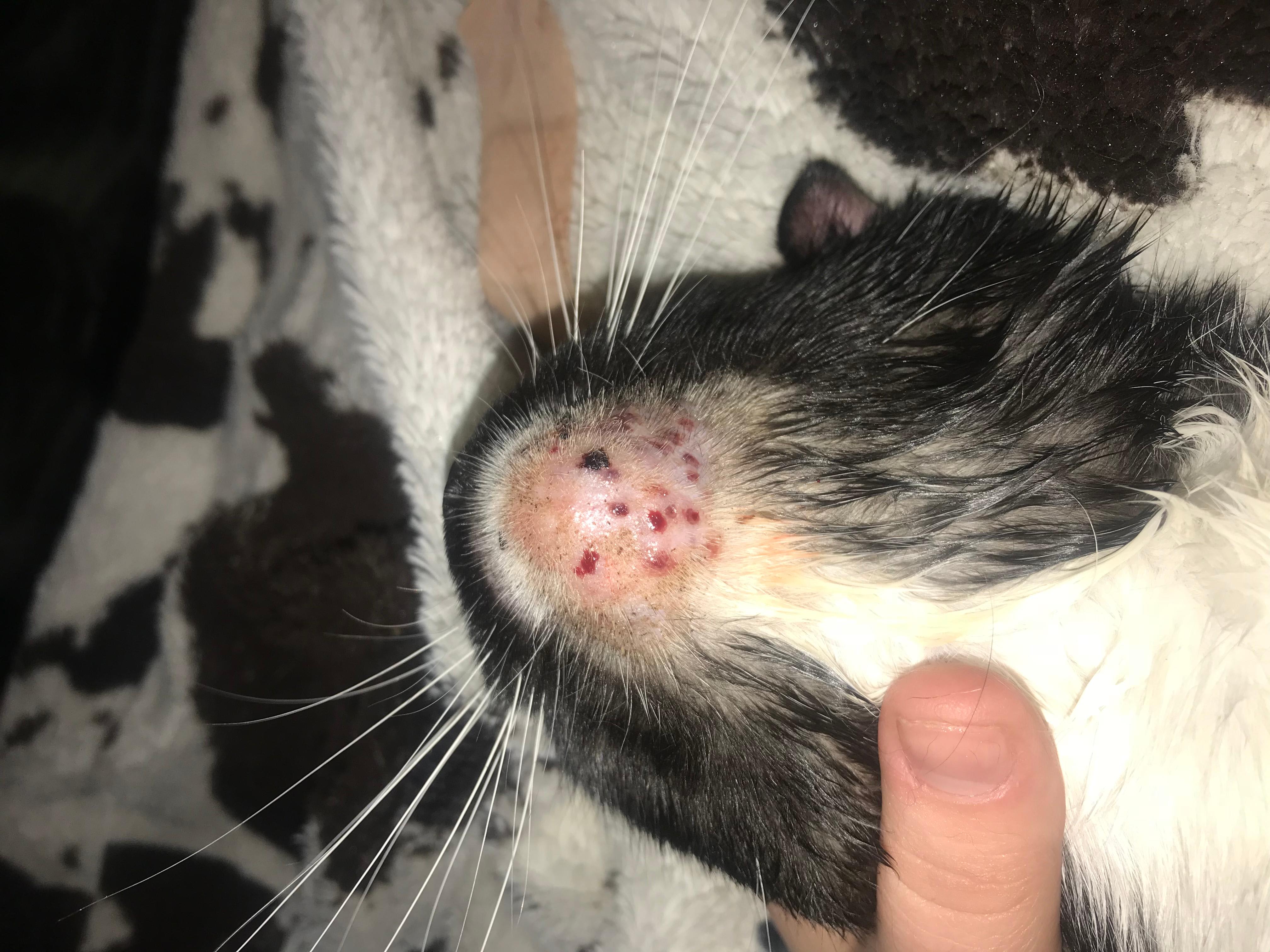 Question details sensitive content