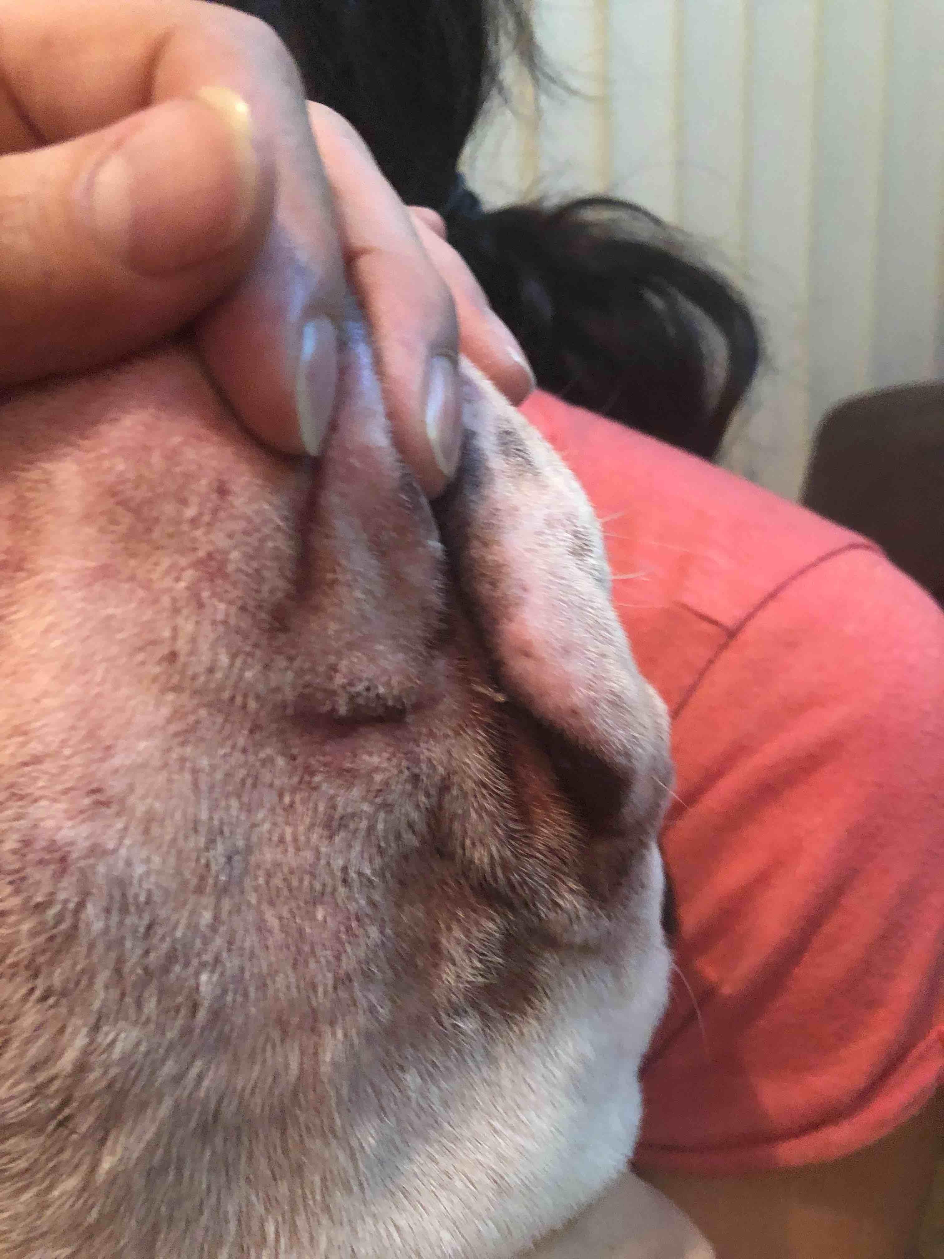 Question details sensitive content