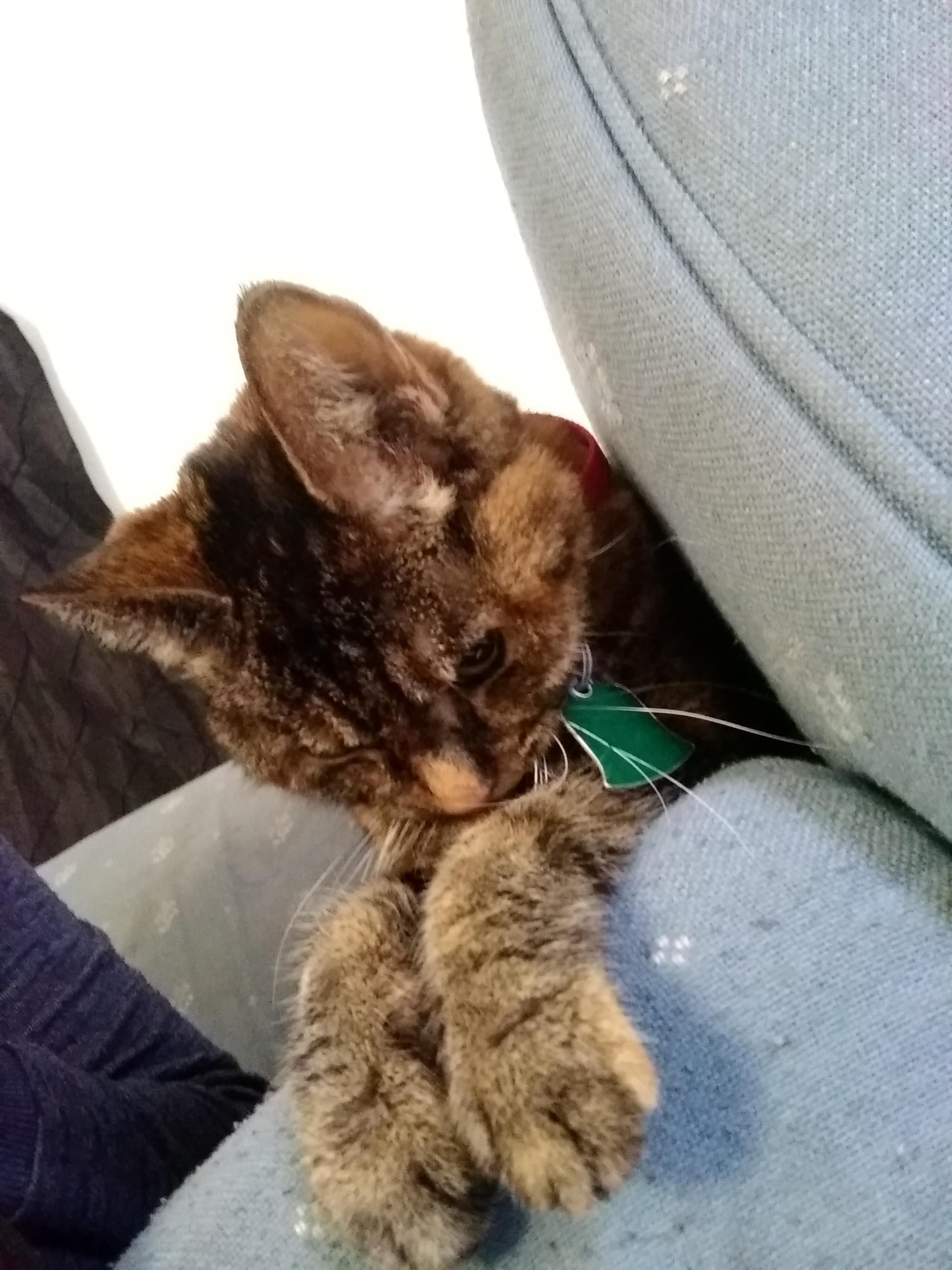 Question details sensitive content