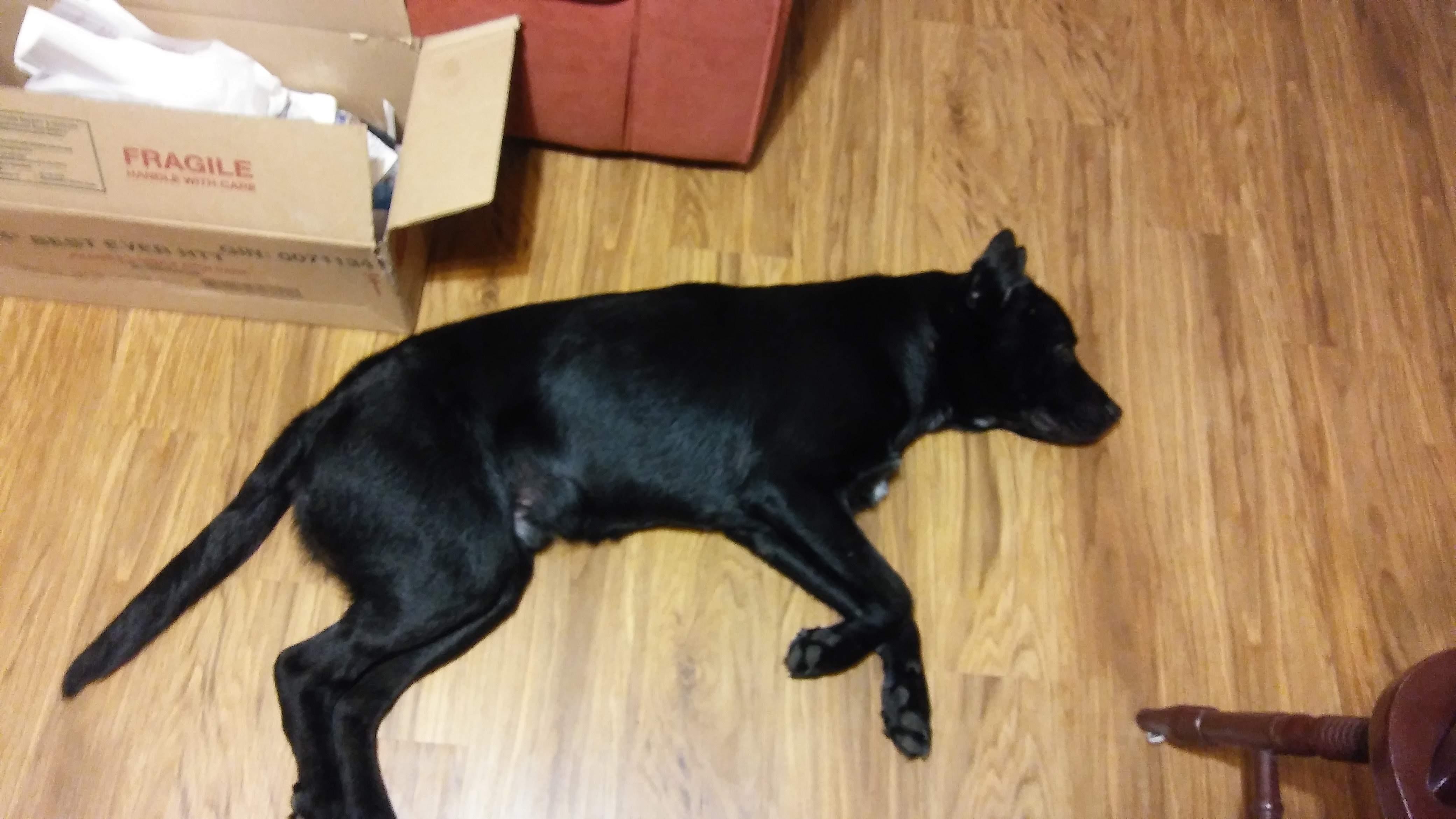 Question details sensitive content