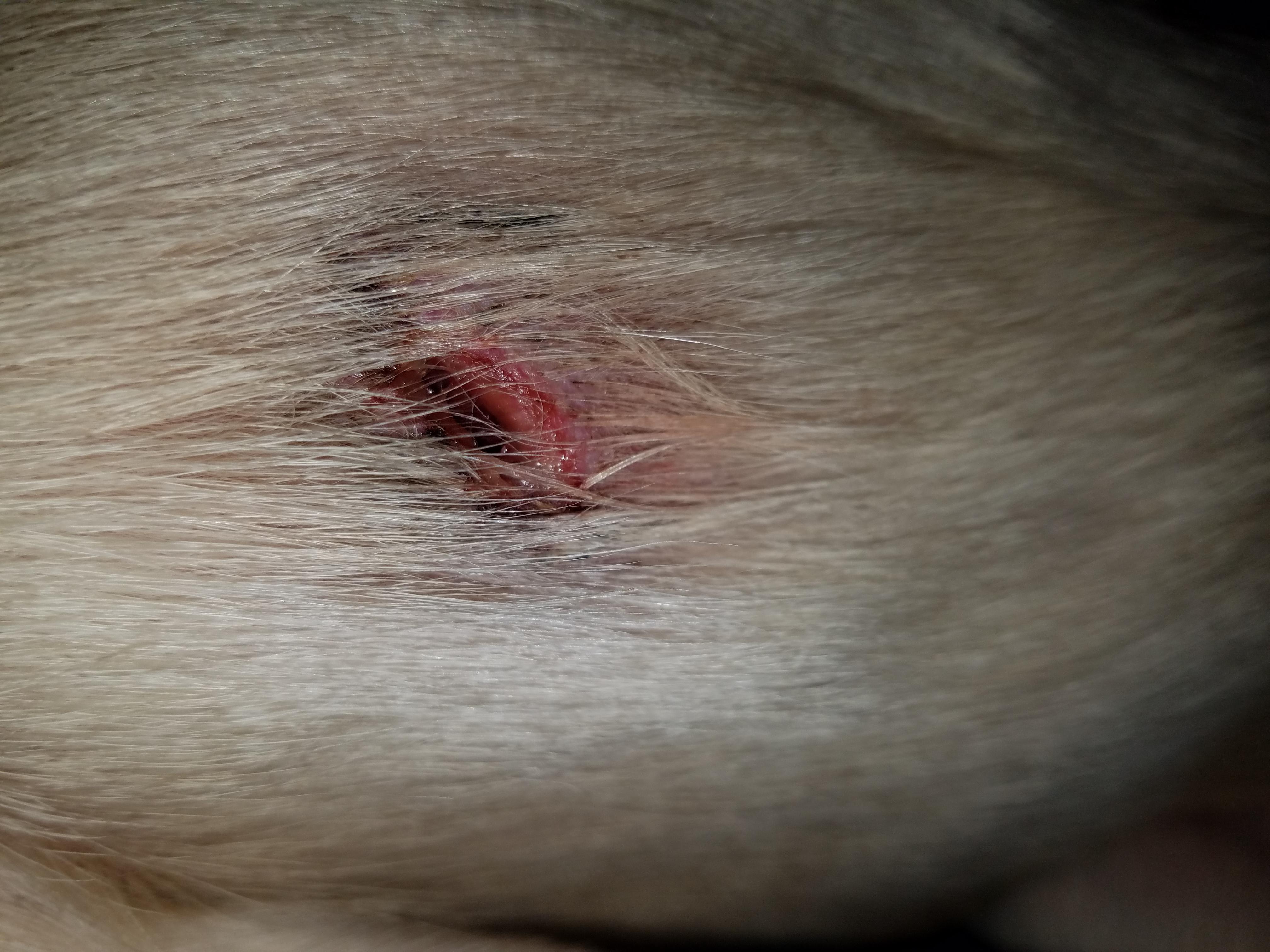 Question details sensitive content