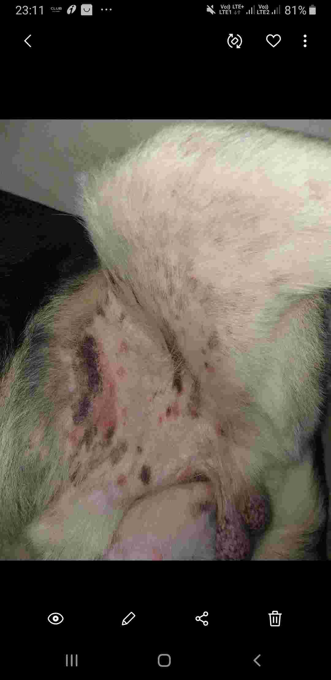 Question details sensitive content