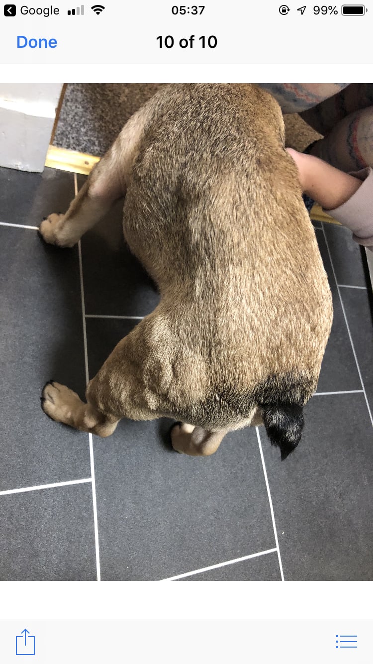 Question details sensitive content