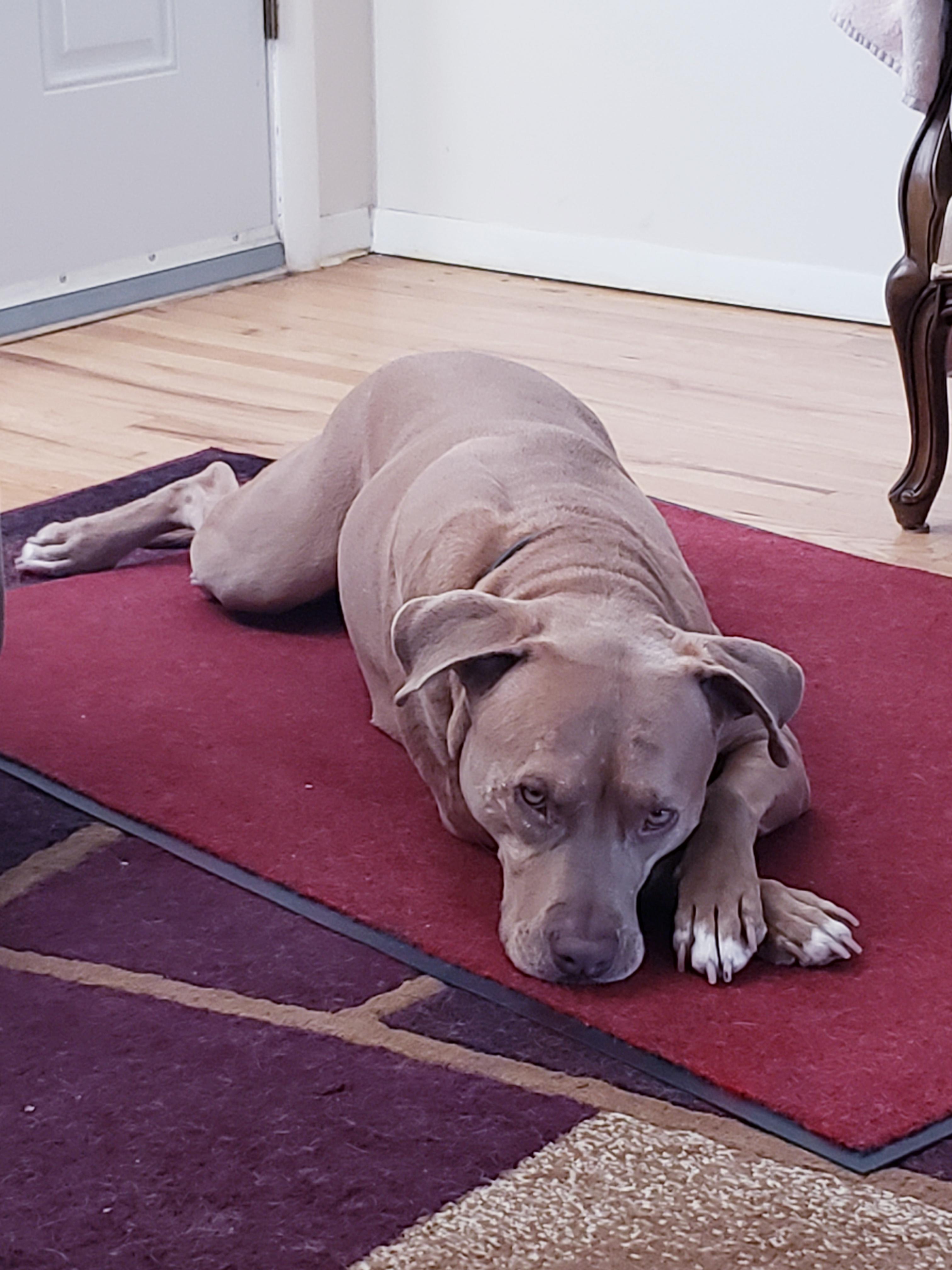 Question details sensitive content