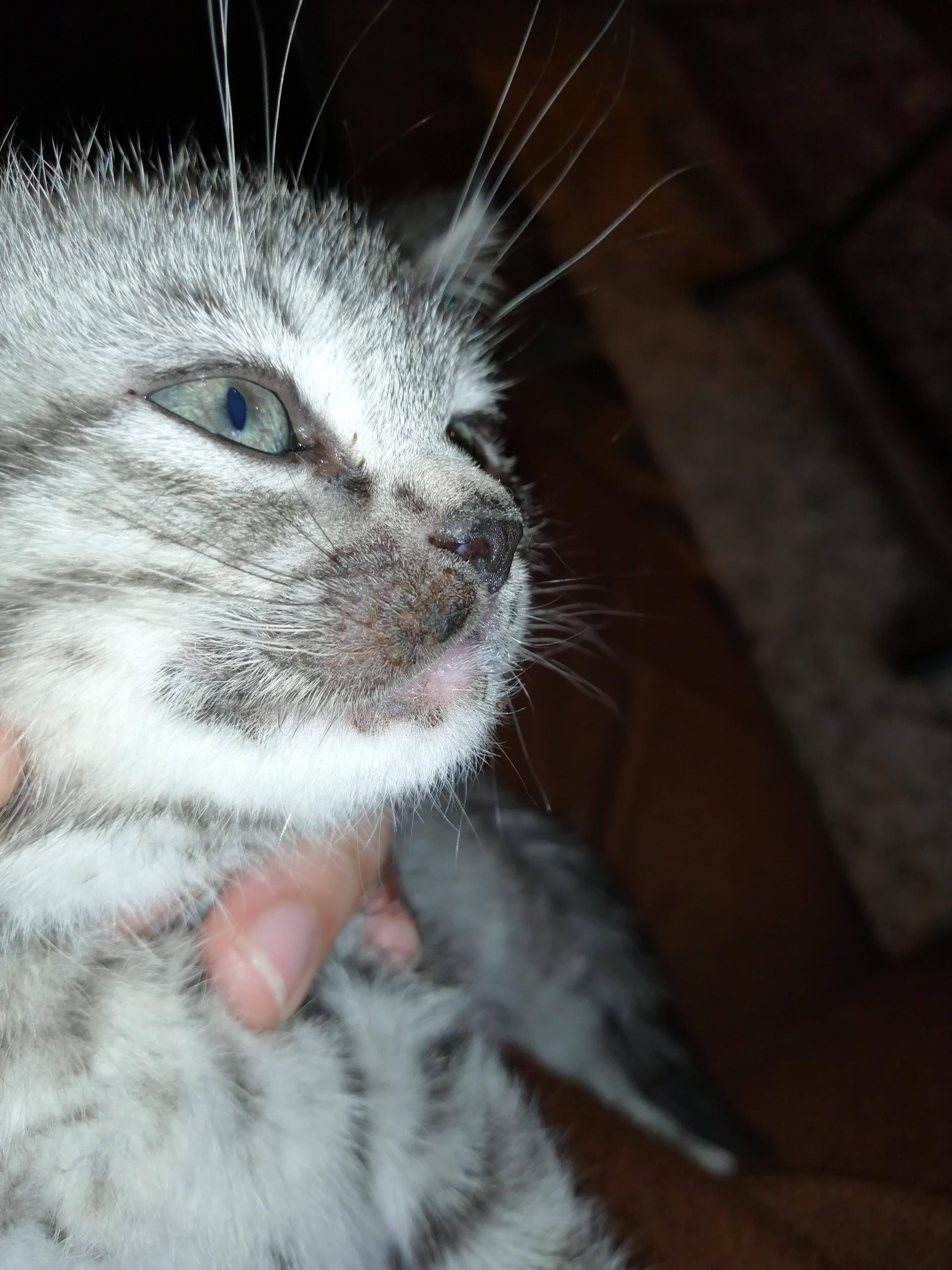 Question details sensitive content