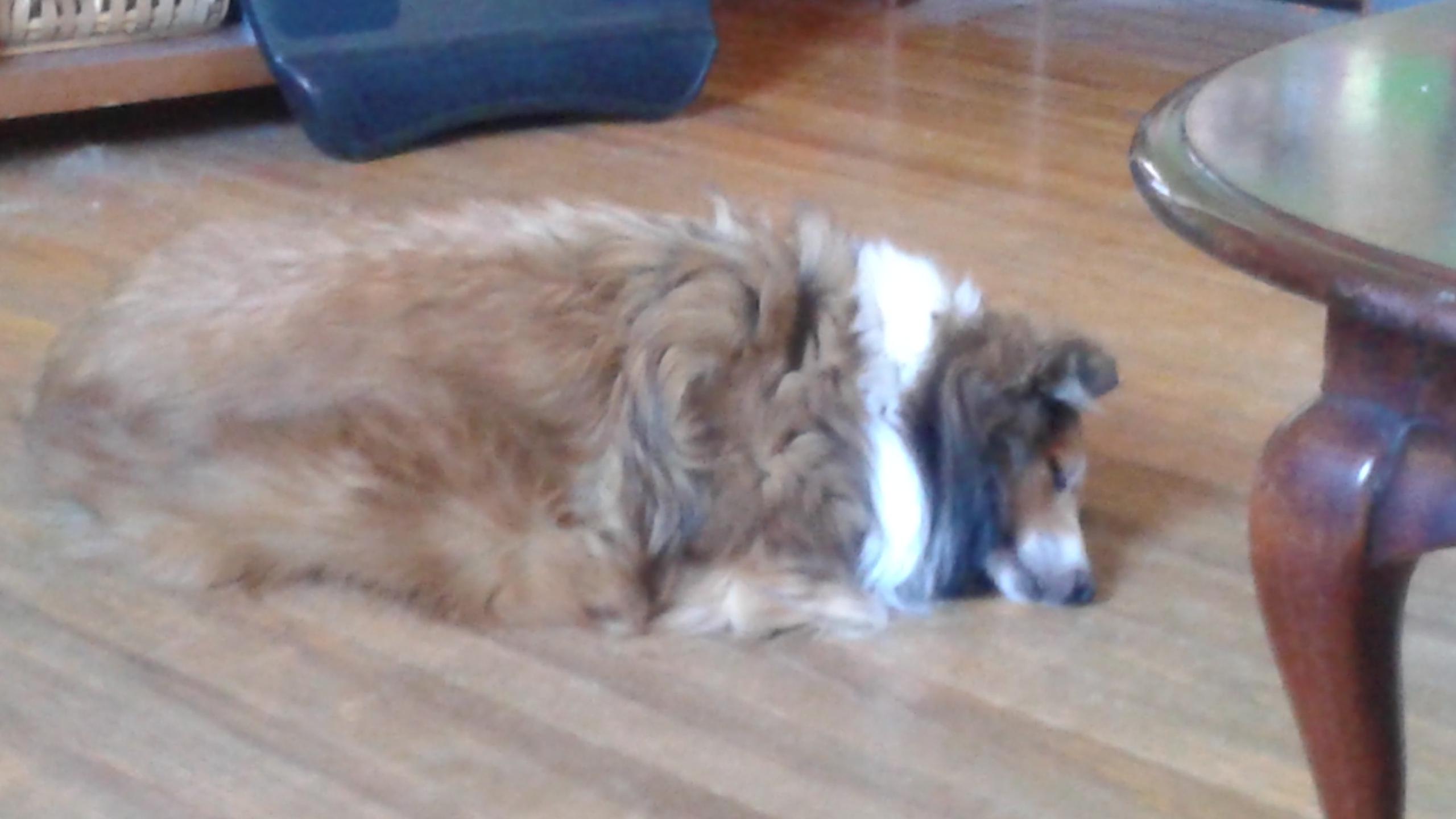 Question details sensitive content