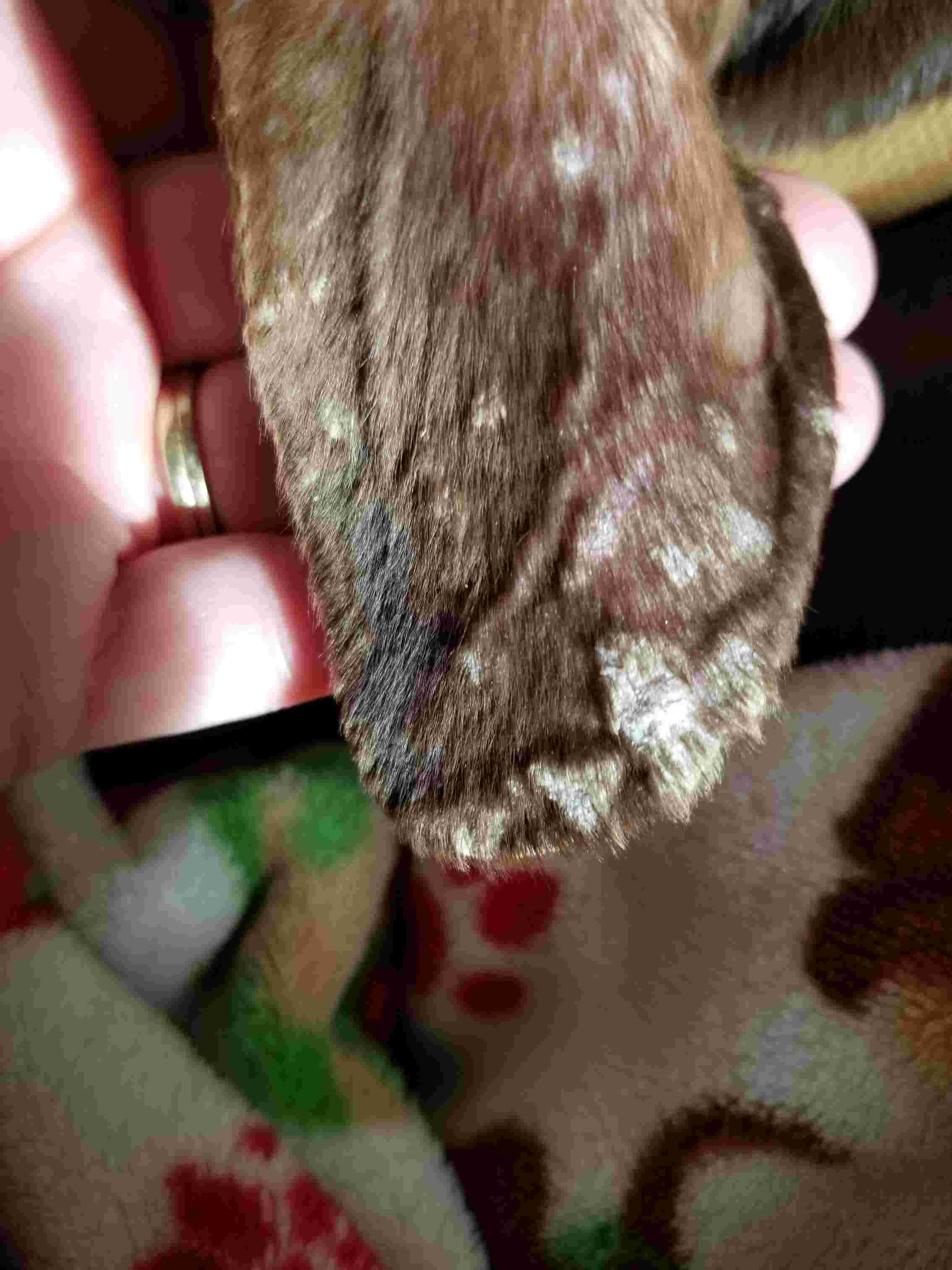 Question details sensitive content