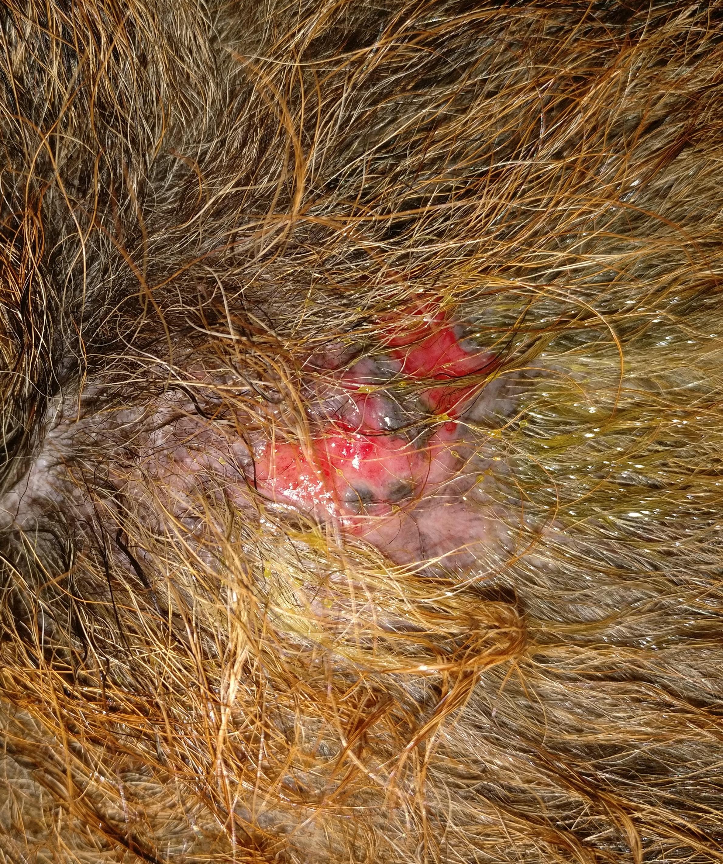 Question details sensitive content