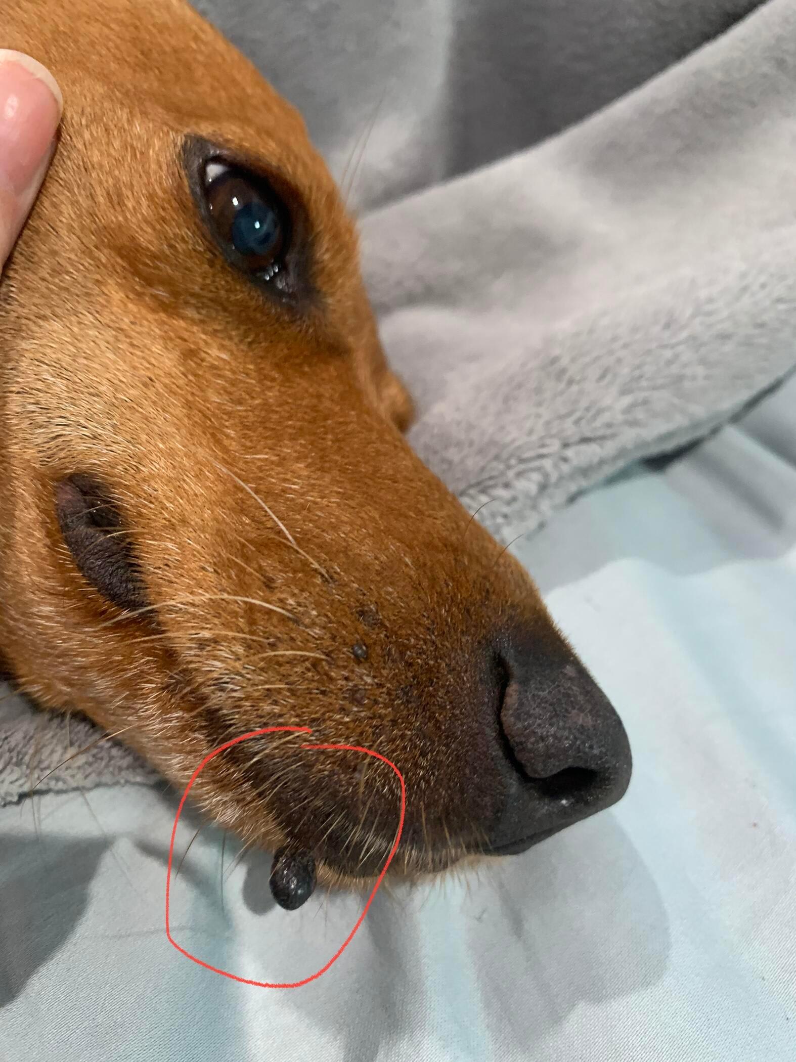 Question details sensitive content