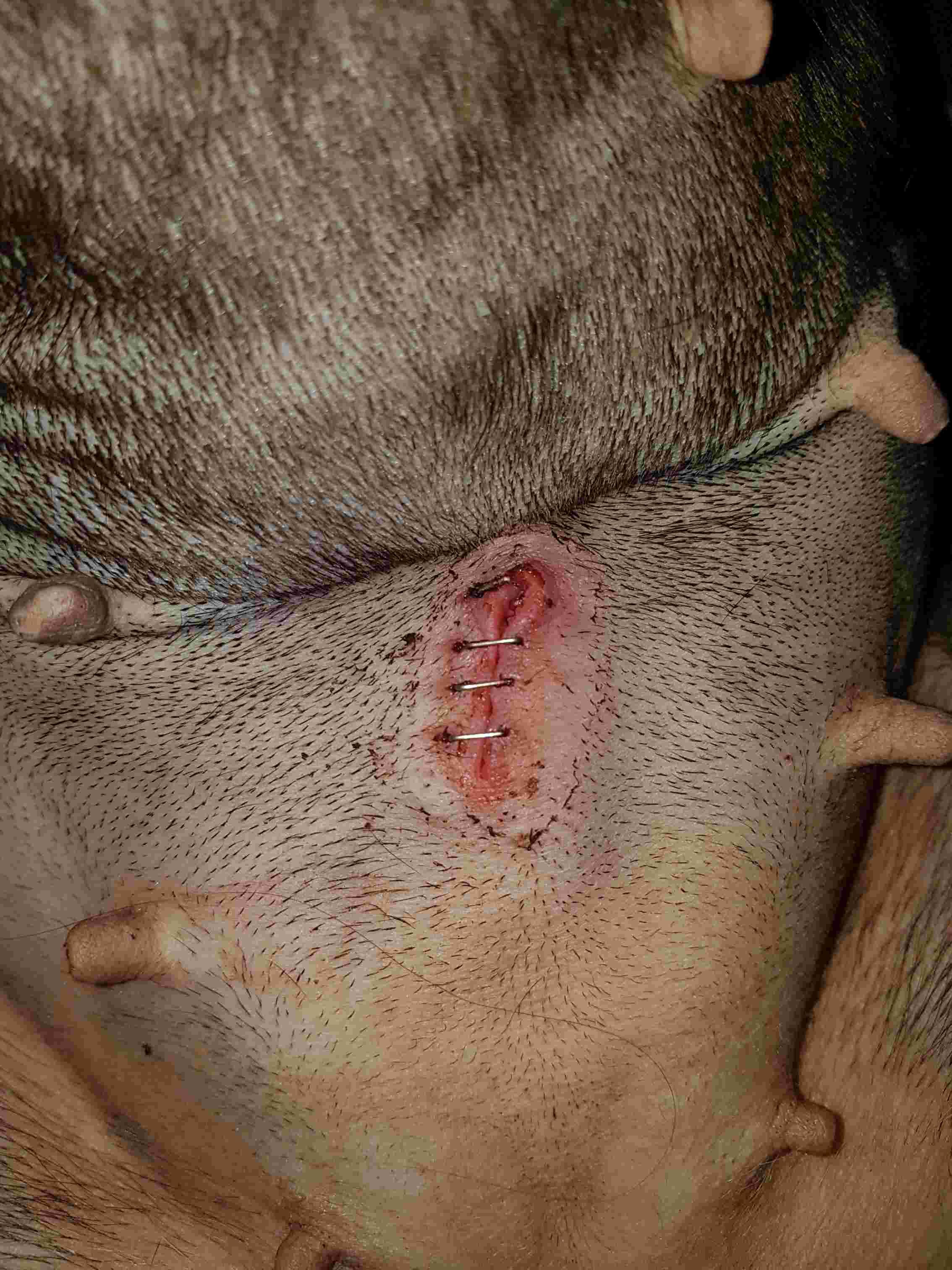 Question details sensitive content