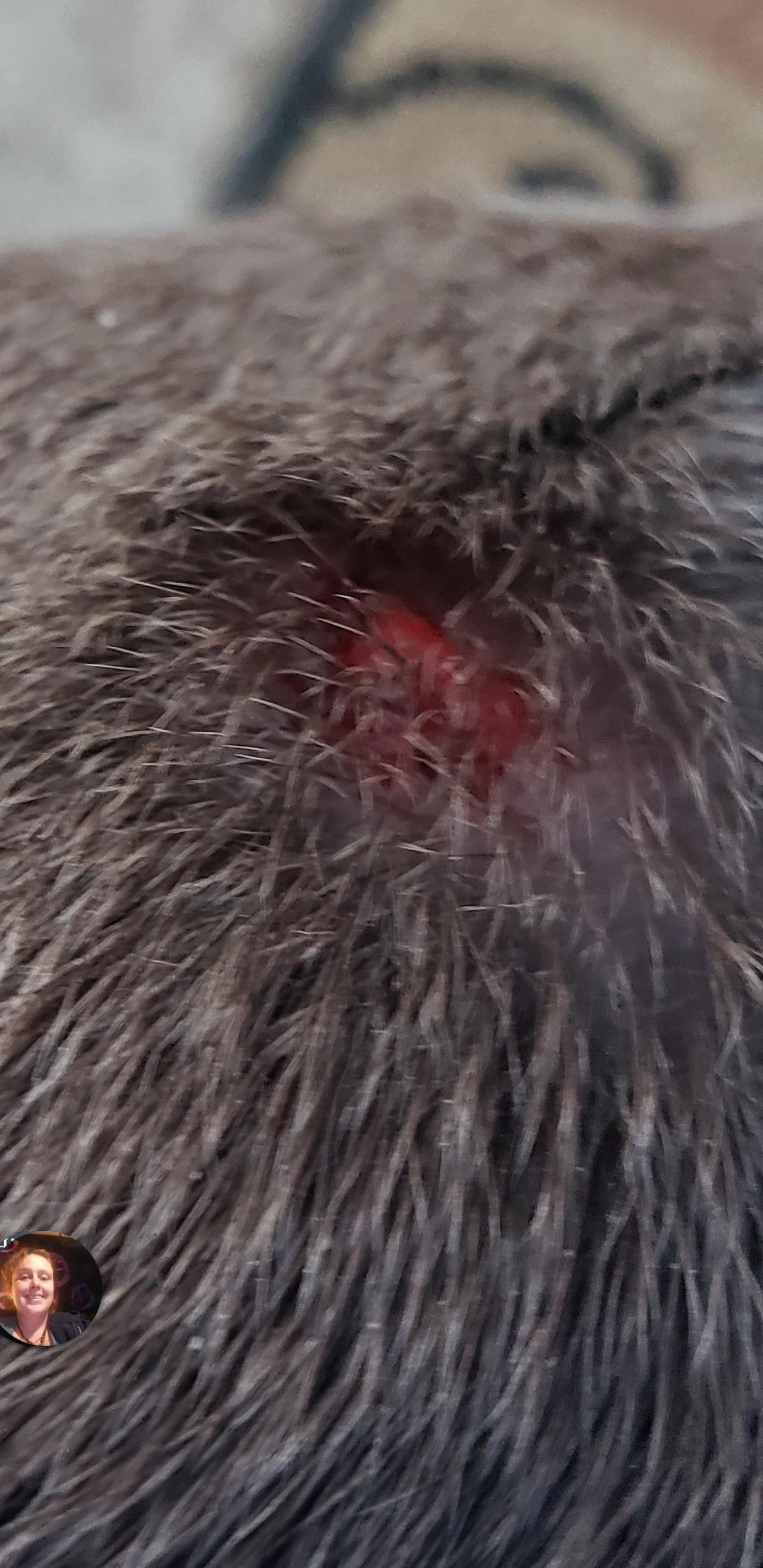 Question details sensitive content