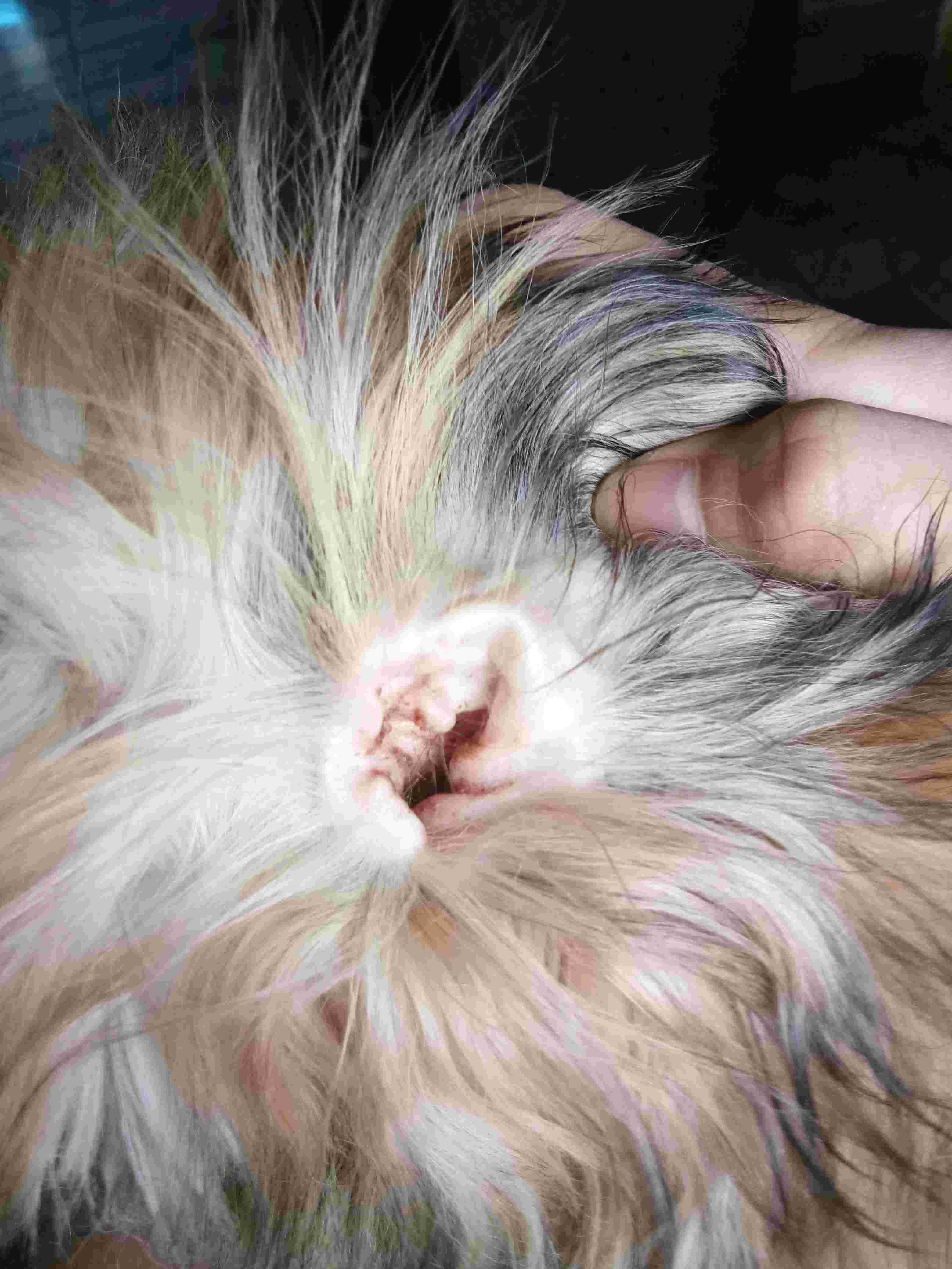 Question details sensitive content