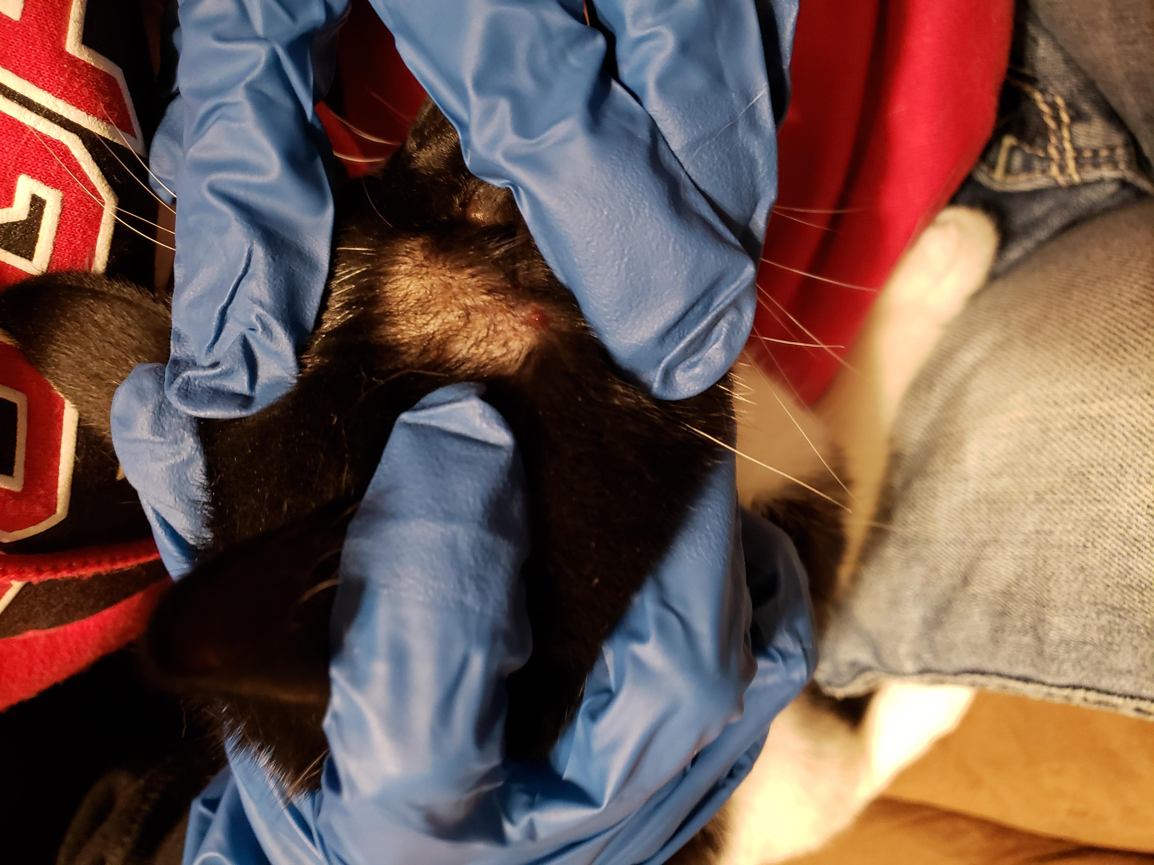 Question details sensitive content