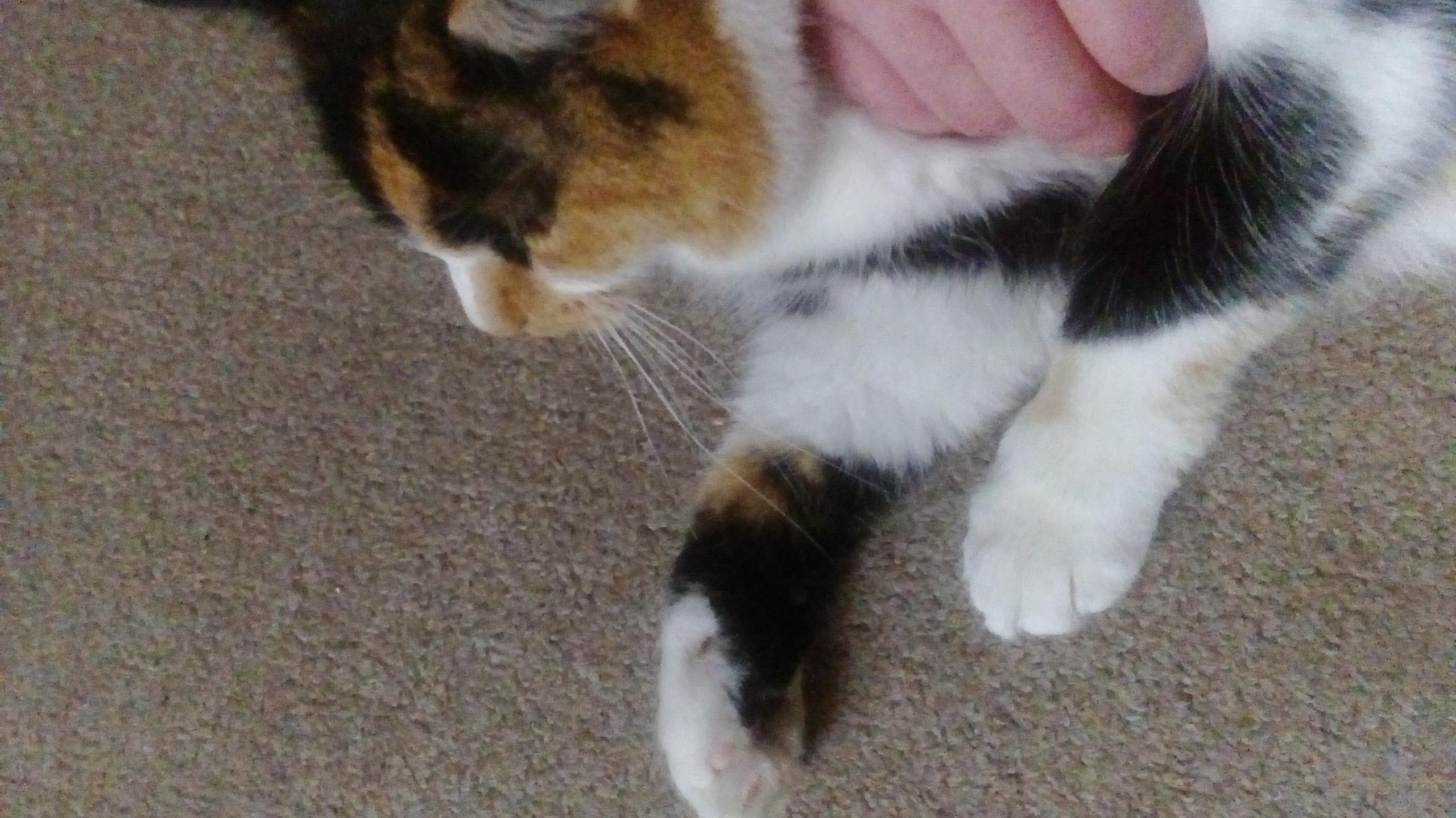 Question details sensitive content