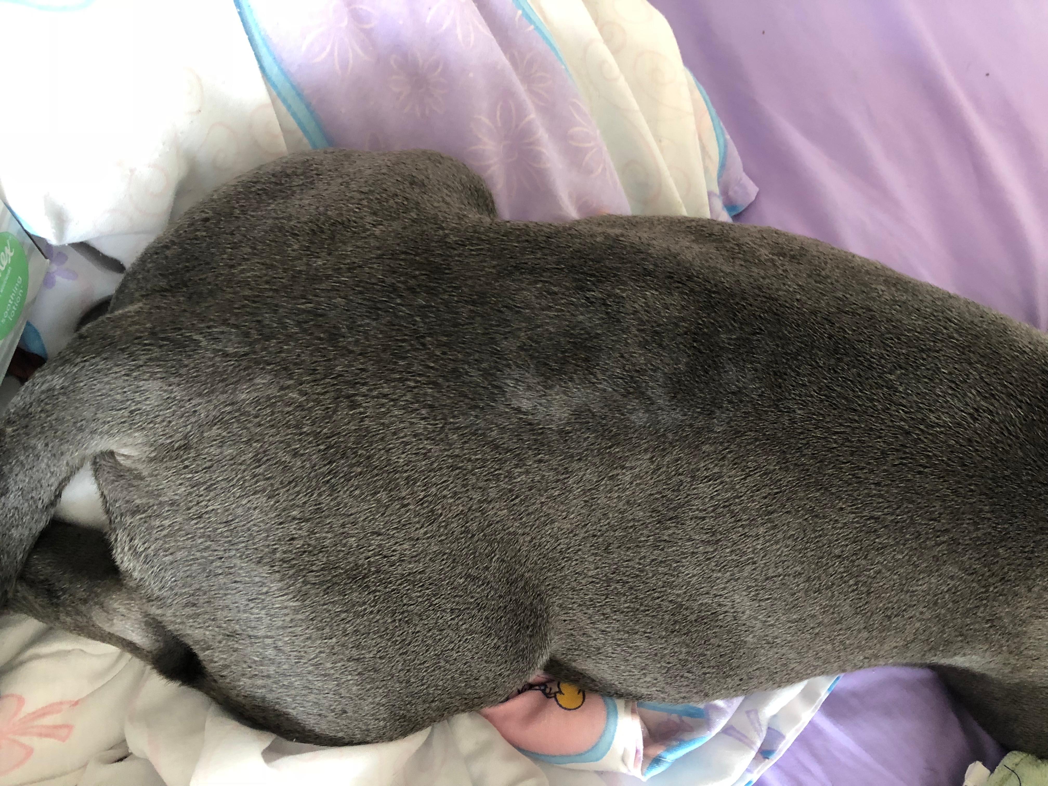 Question details sensitive content