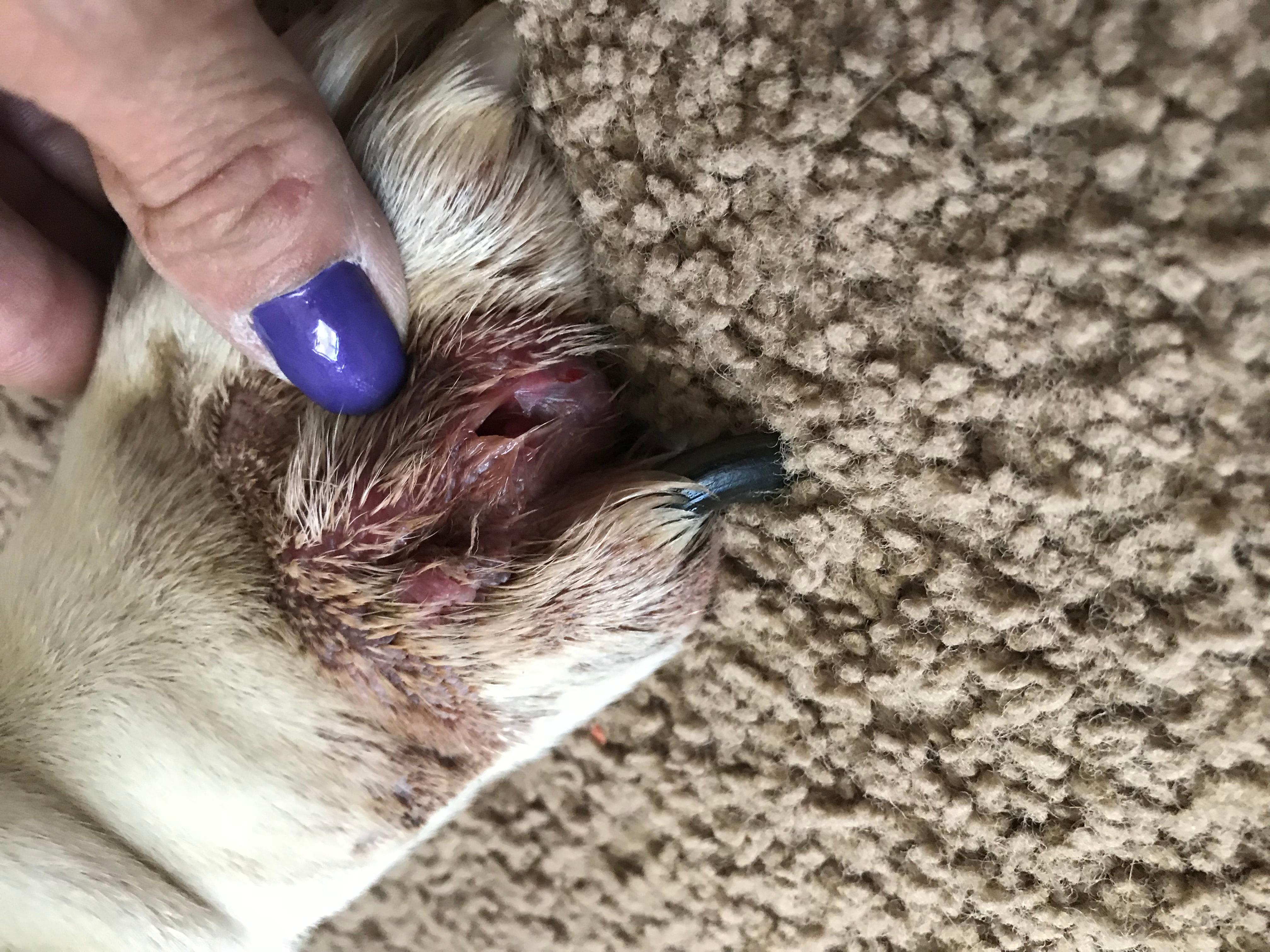 Question details sensitive content