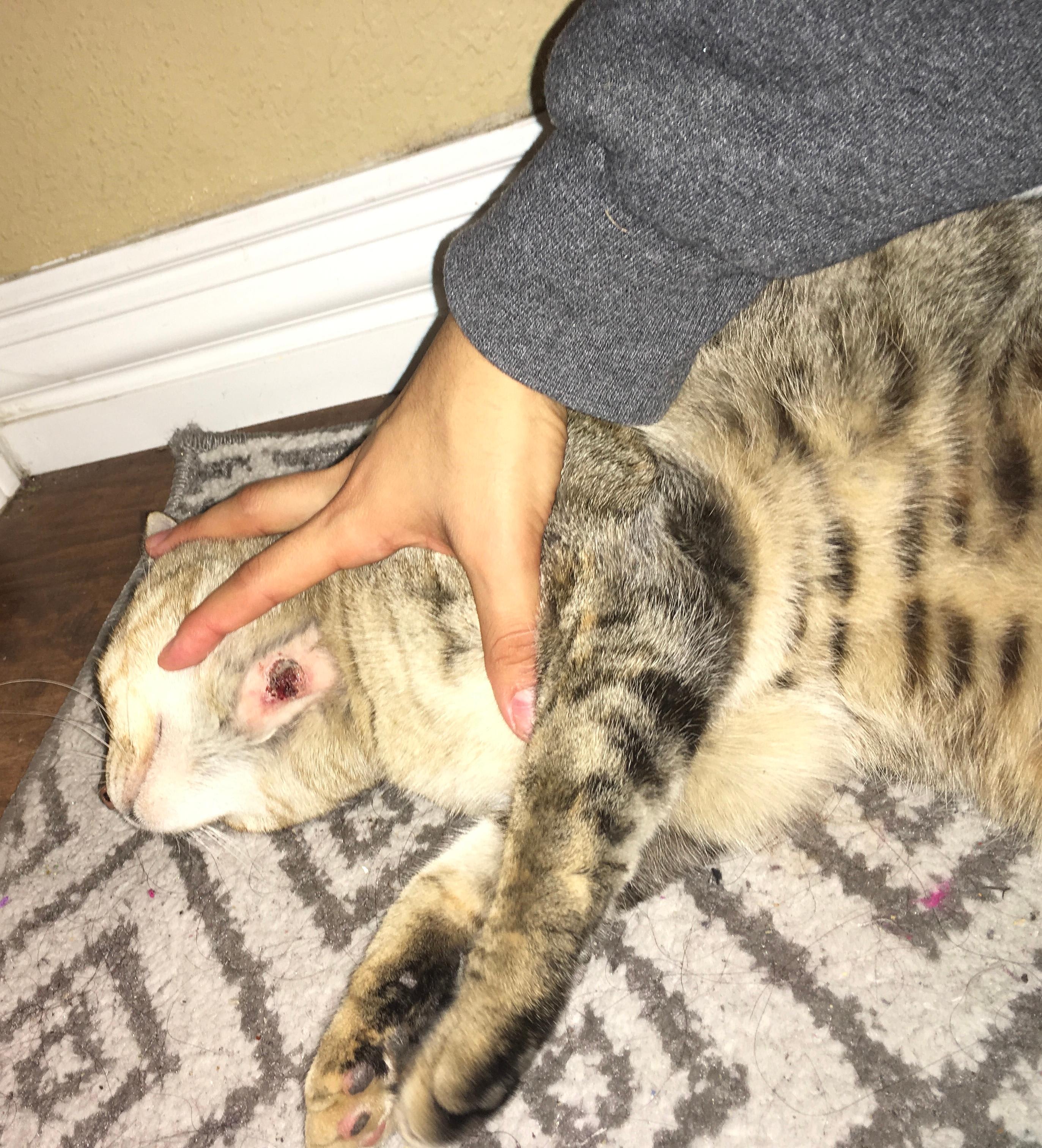 Question details sensitive content