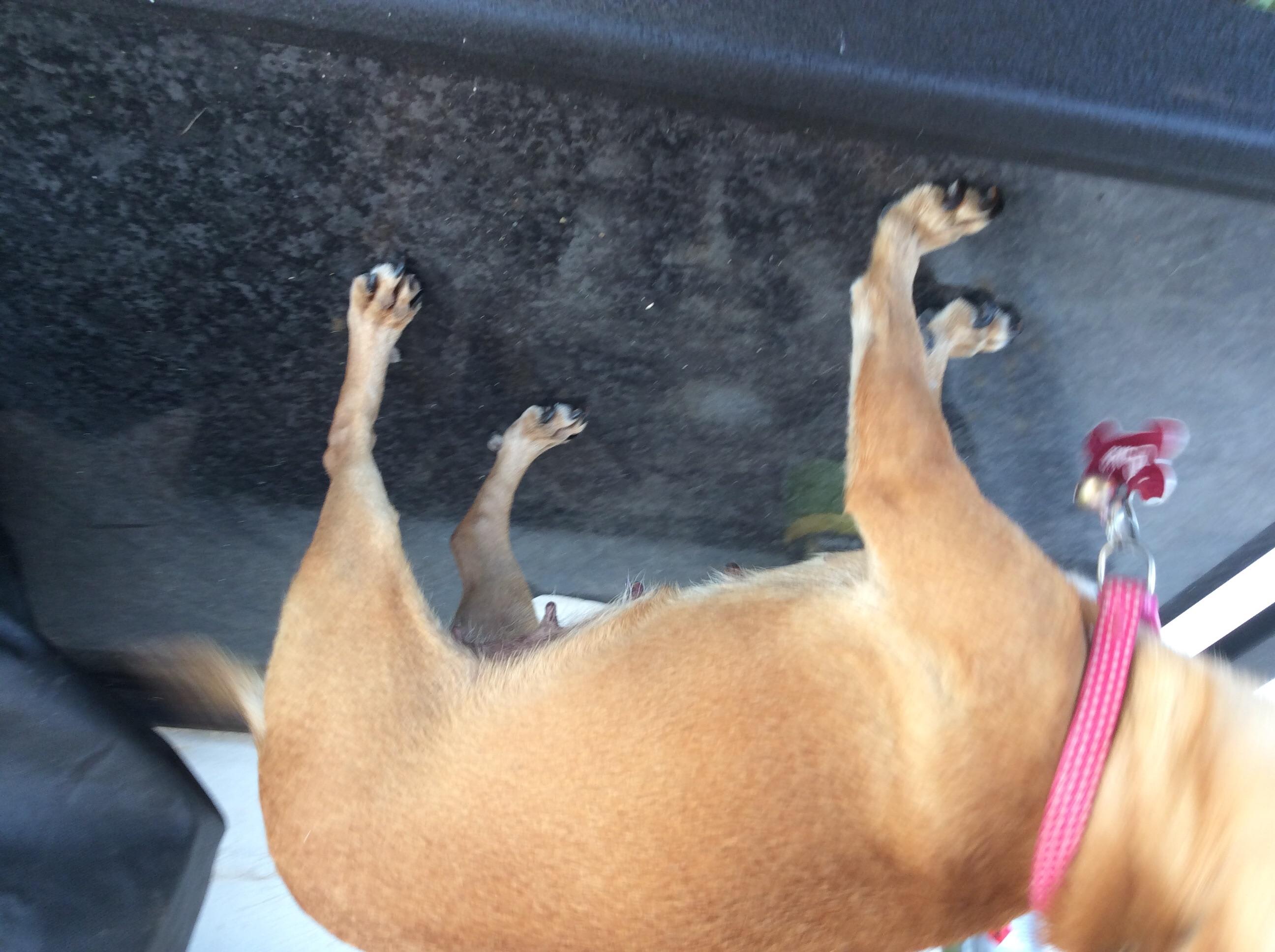 Question details sensitive content