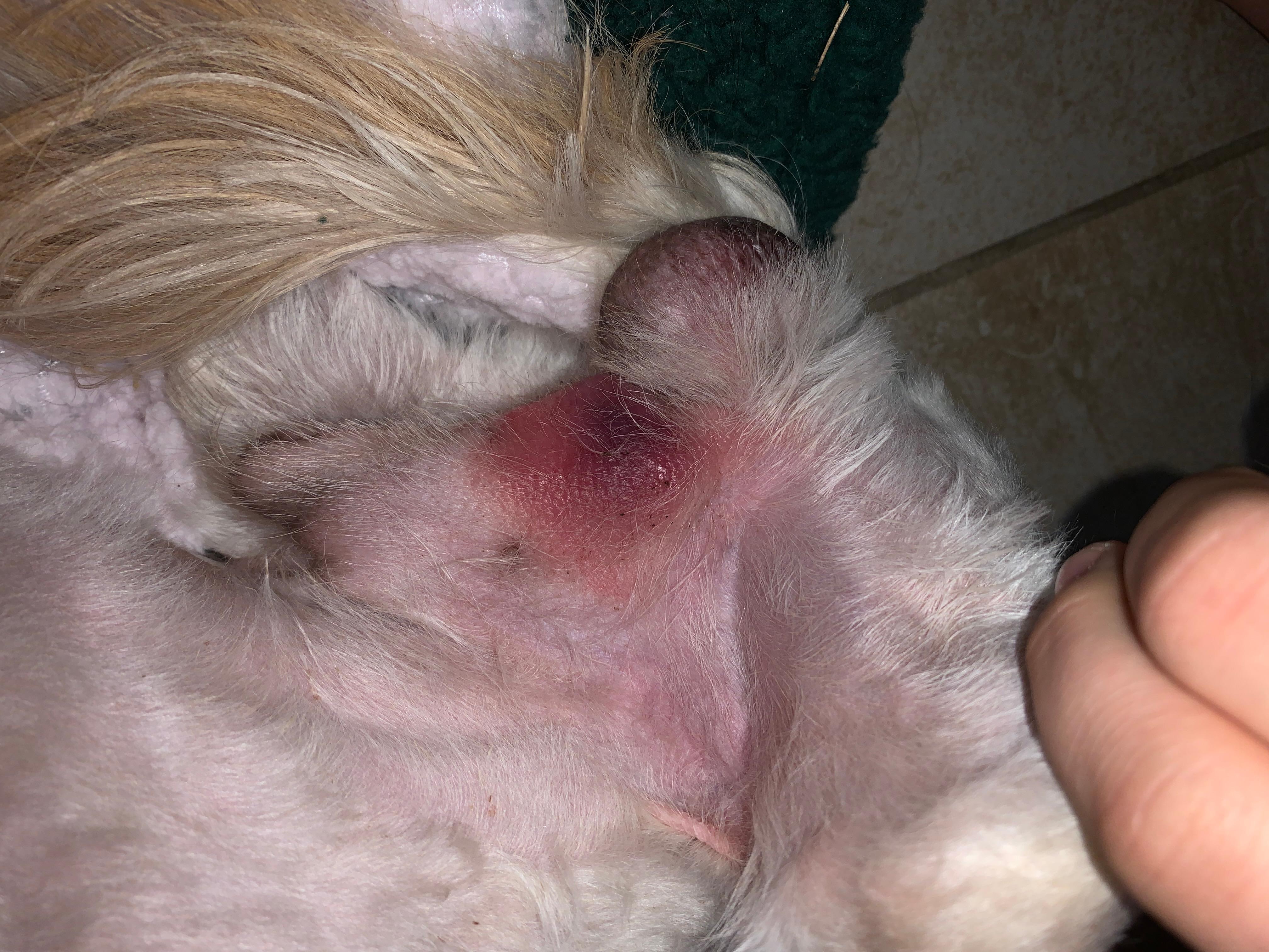 Question details sensitive content