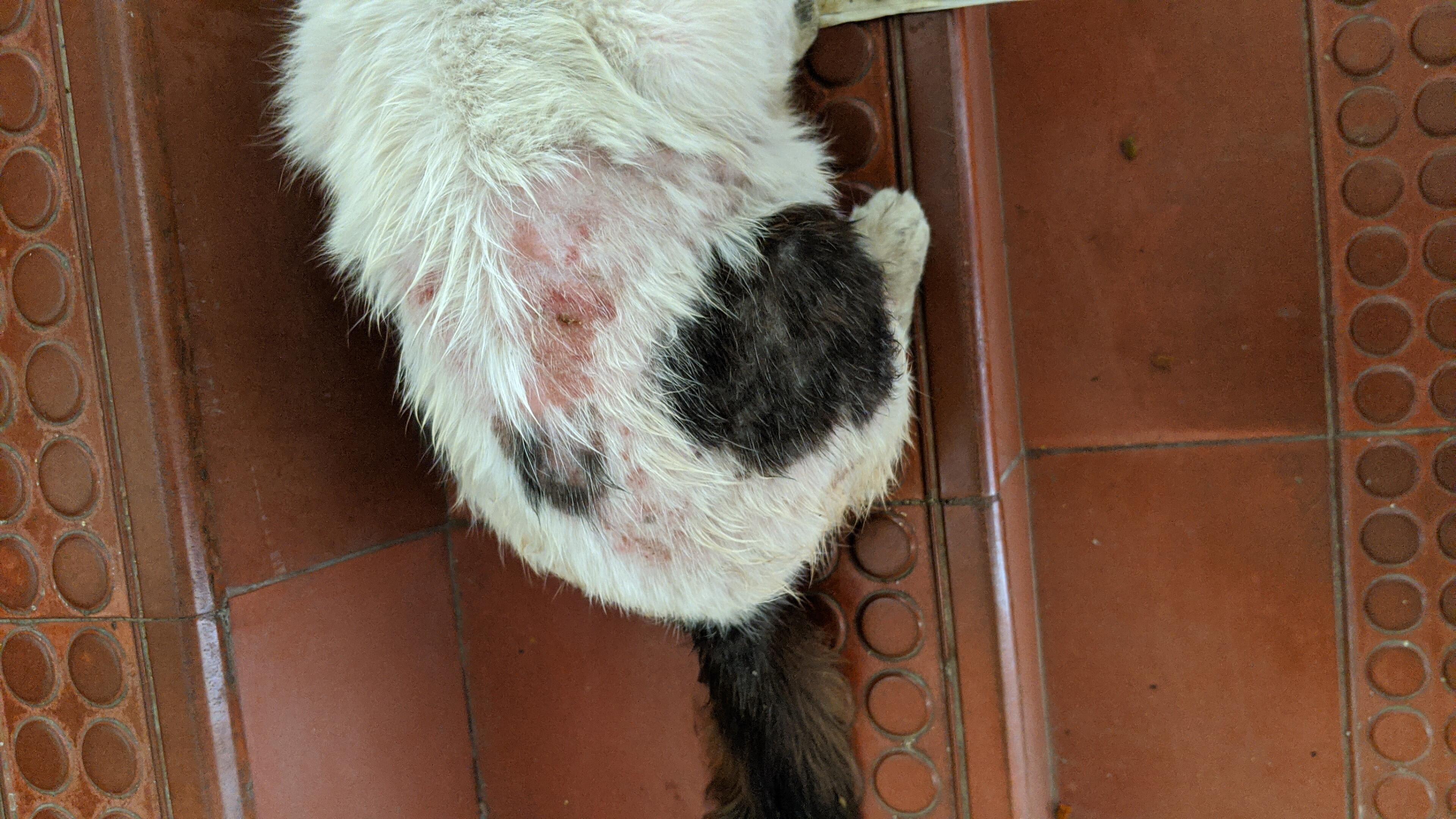 Question details sensitive content