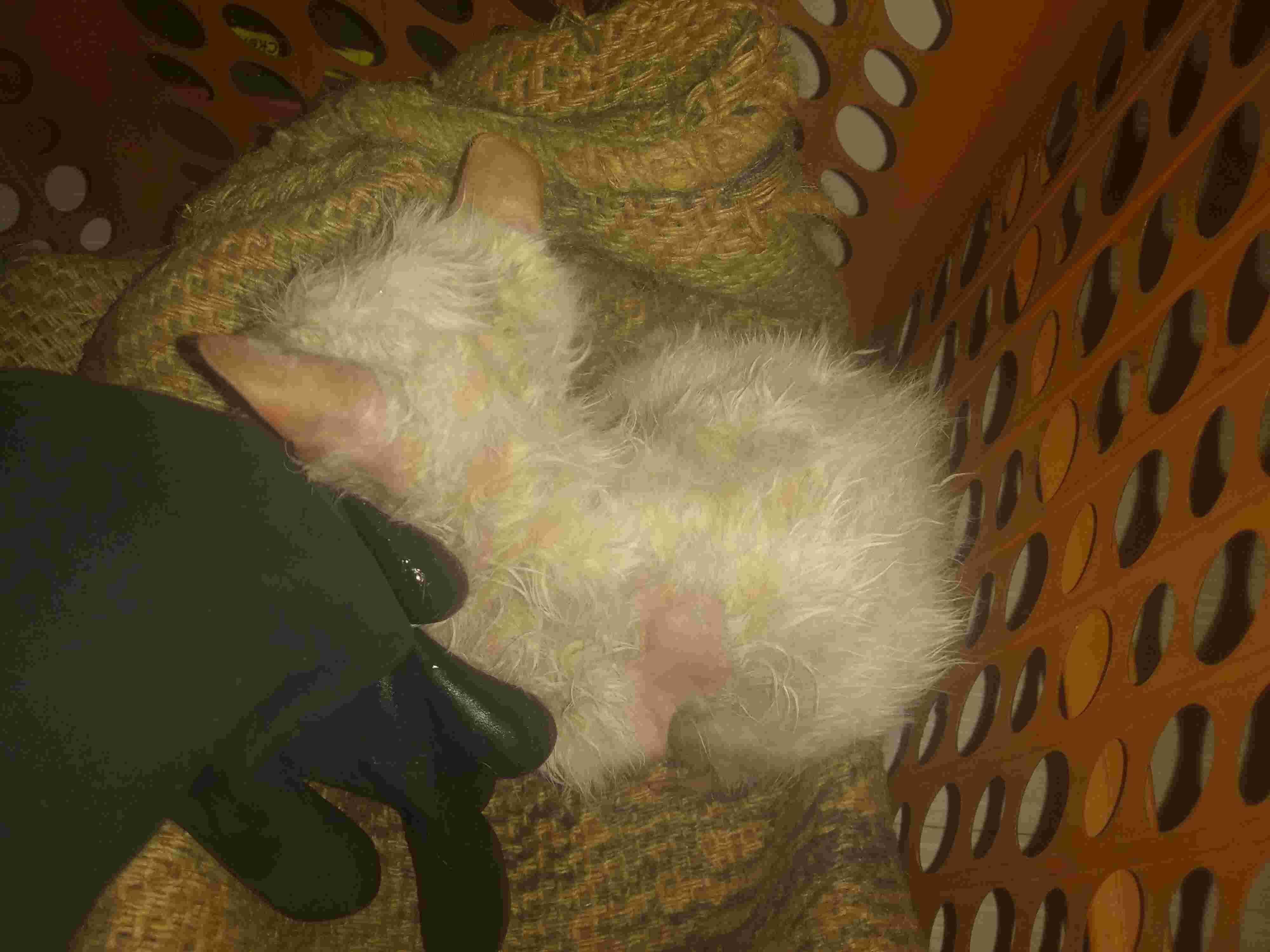 Question details sensitive content