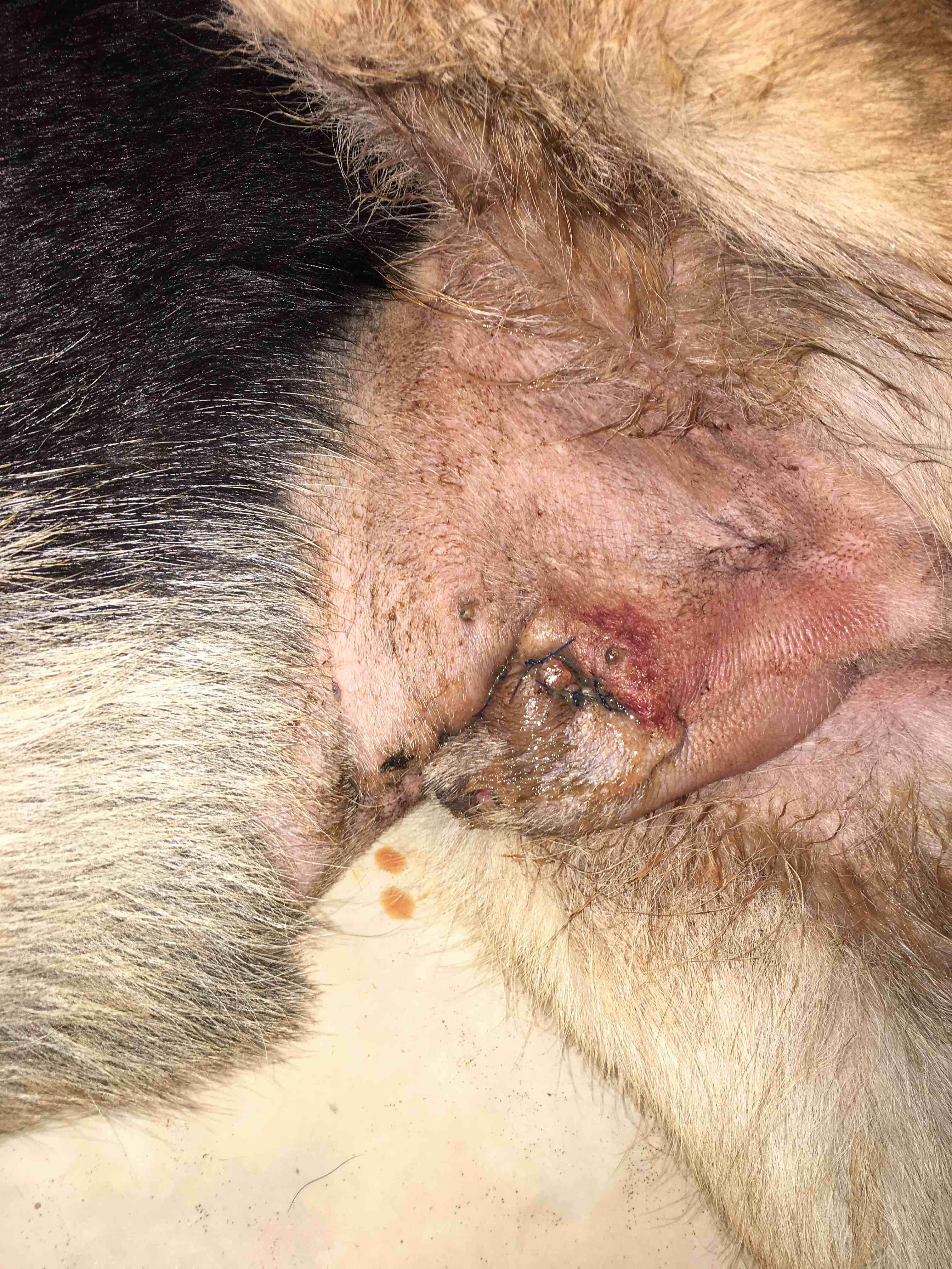 Question details sensitive content