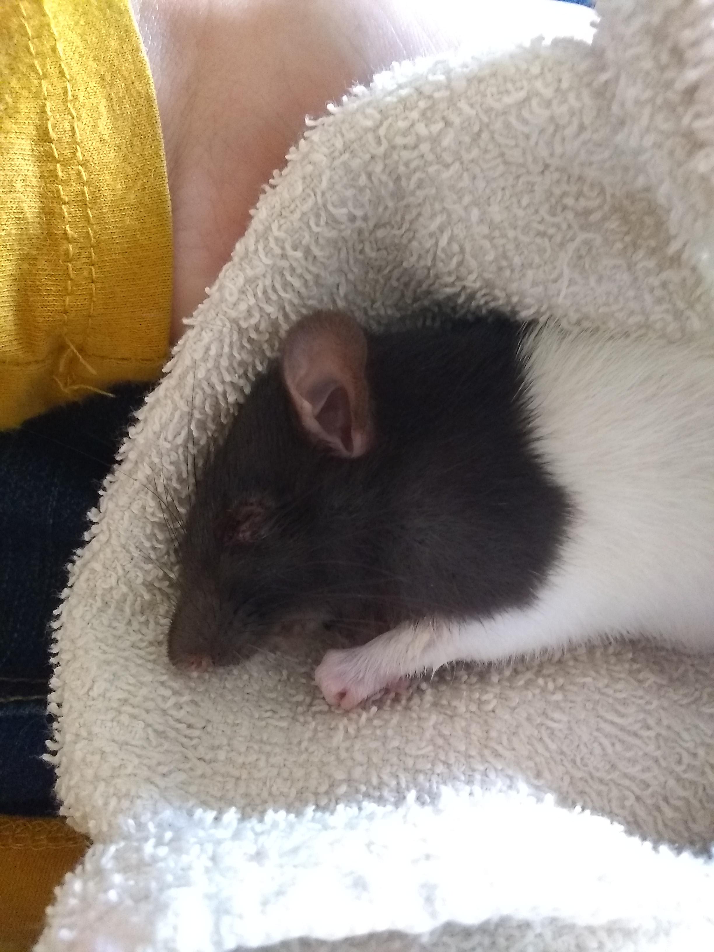 Question details sensitive content