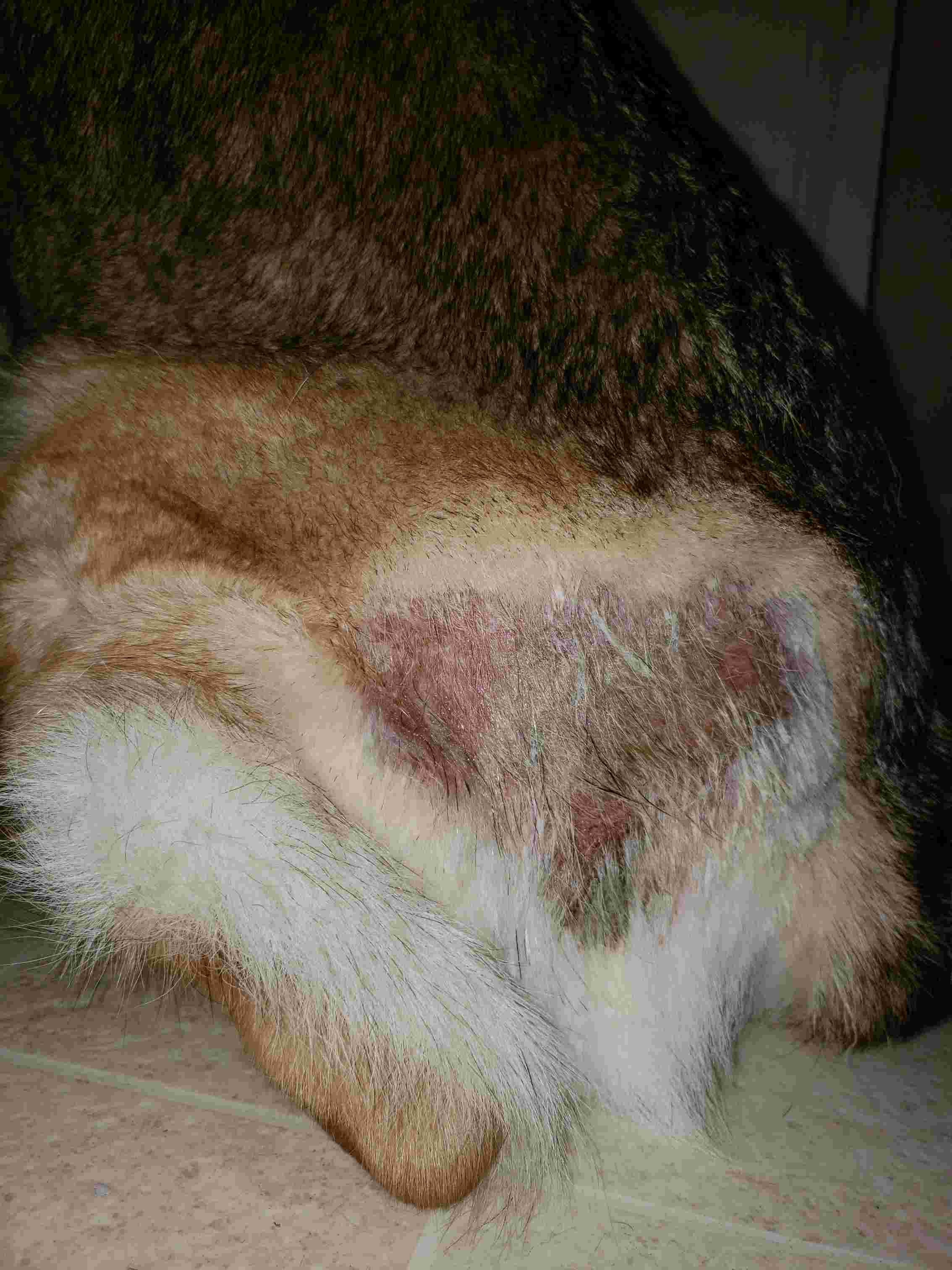 Question details sensitive content