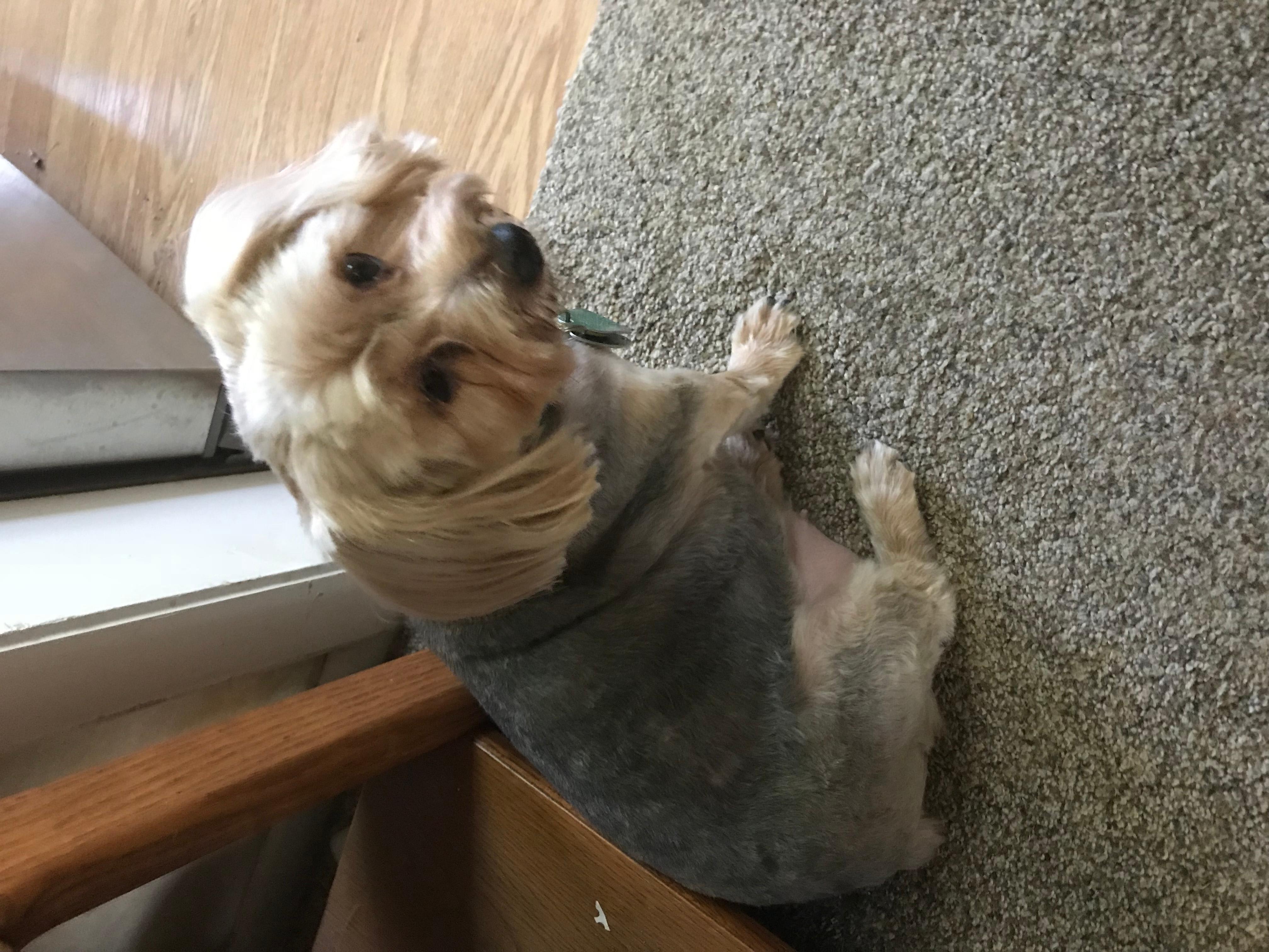 Question details sensitive content