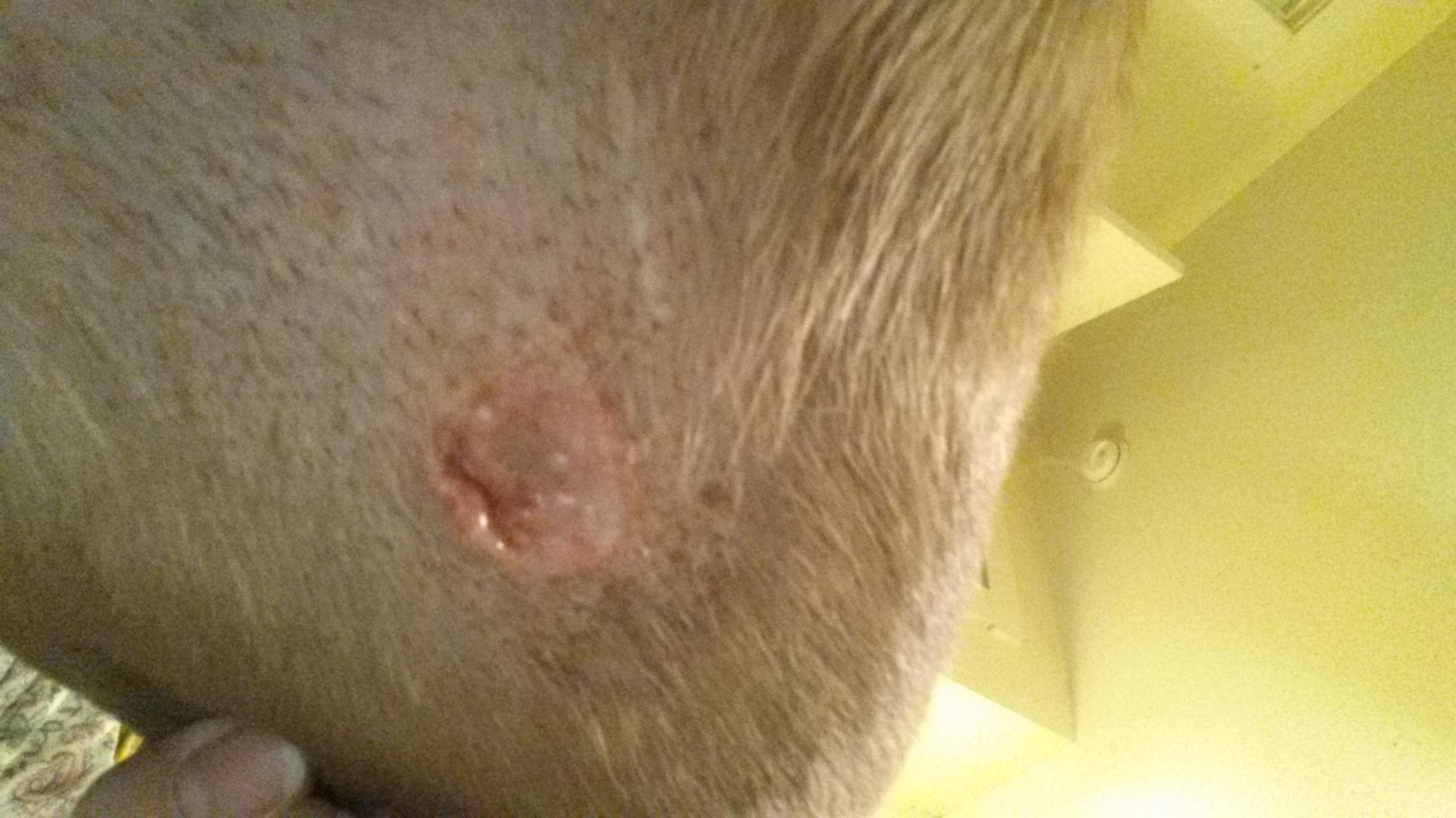 Question details sensitive content