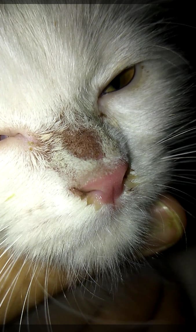 Question details sensitive content