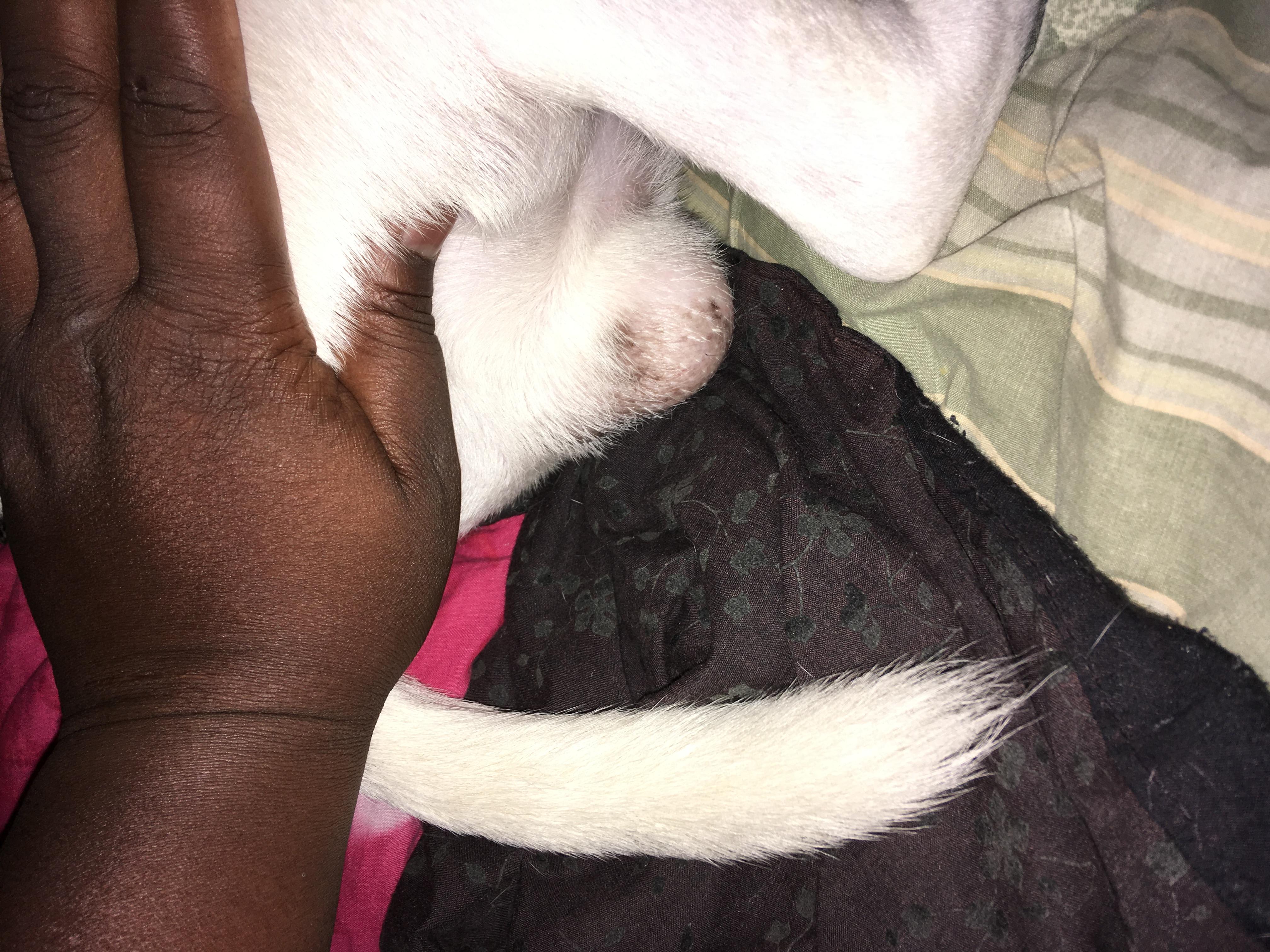 Question details sensitive content