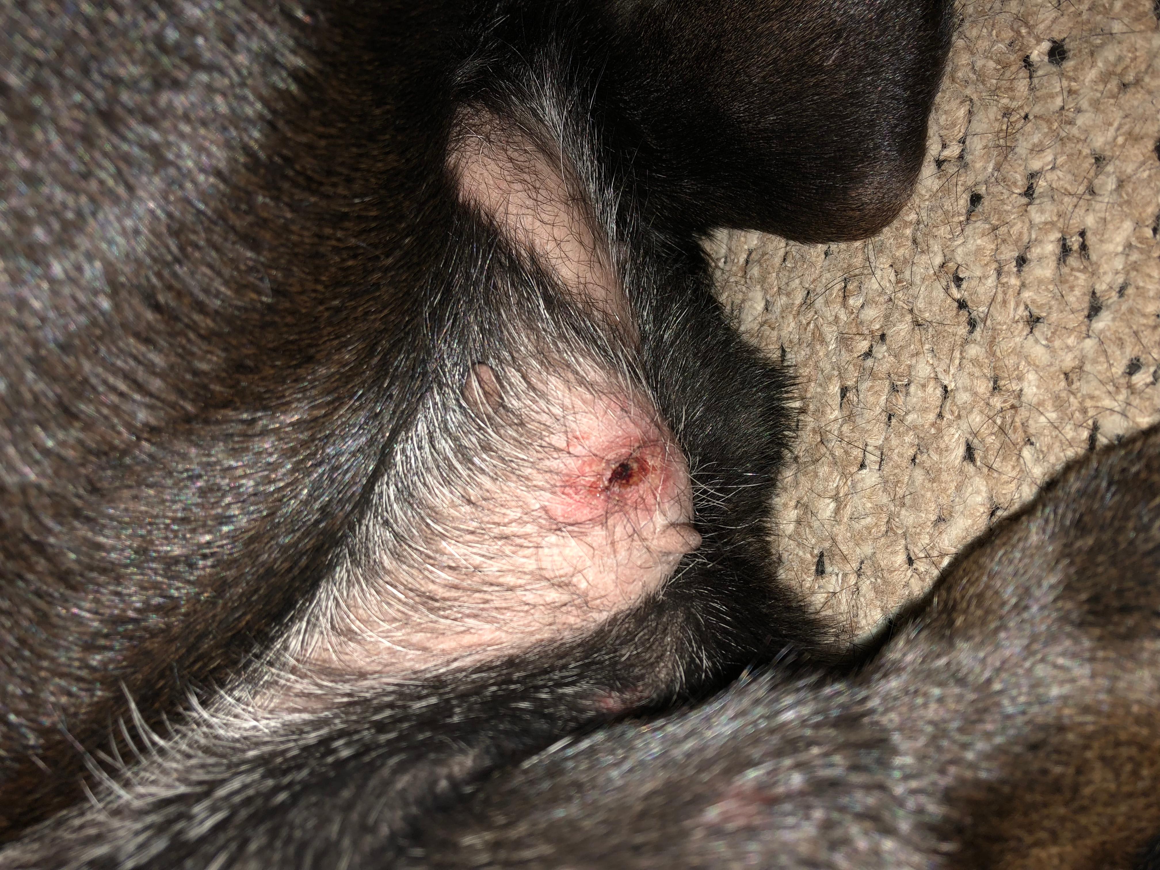 Question details sensitive content