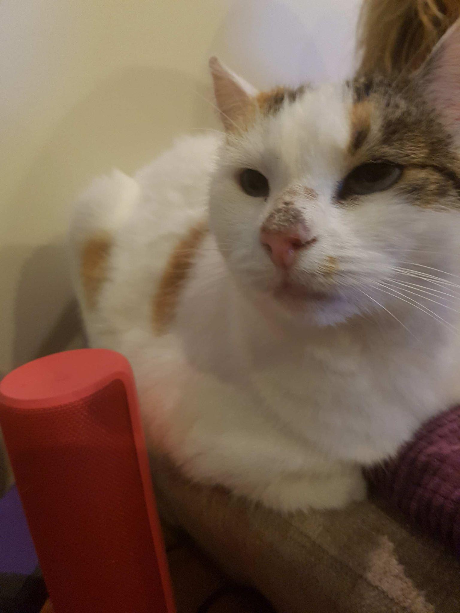 Question details sensitive content