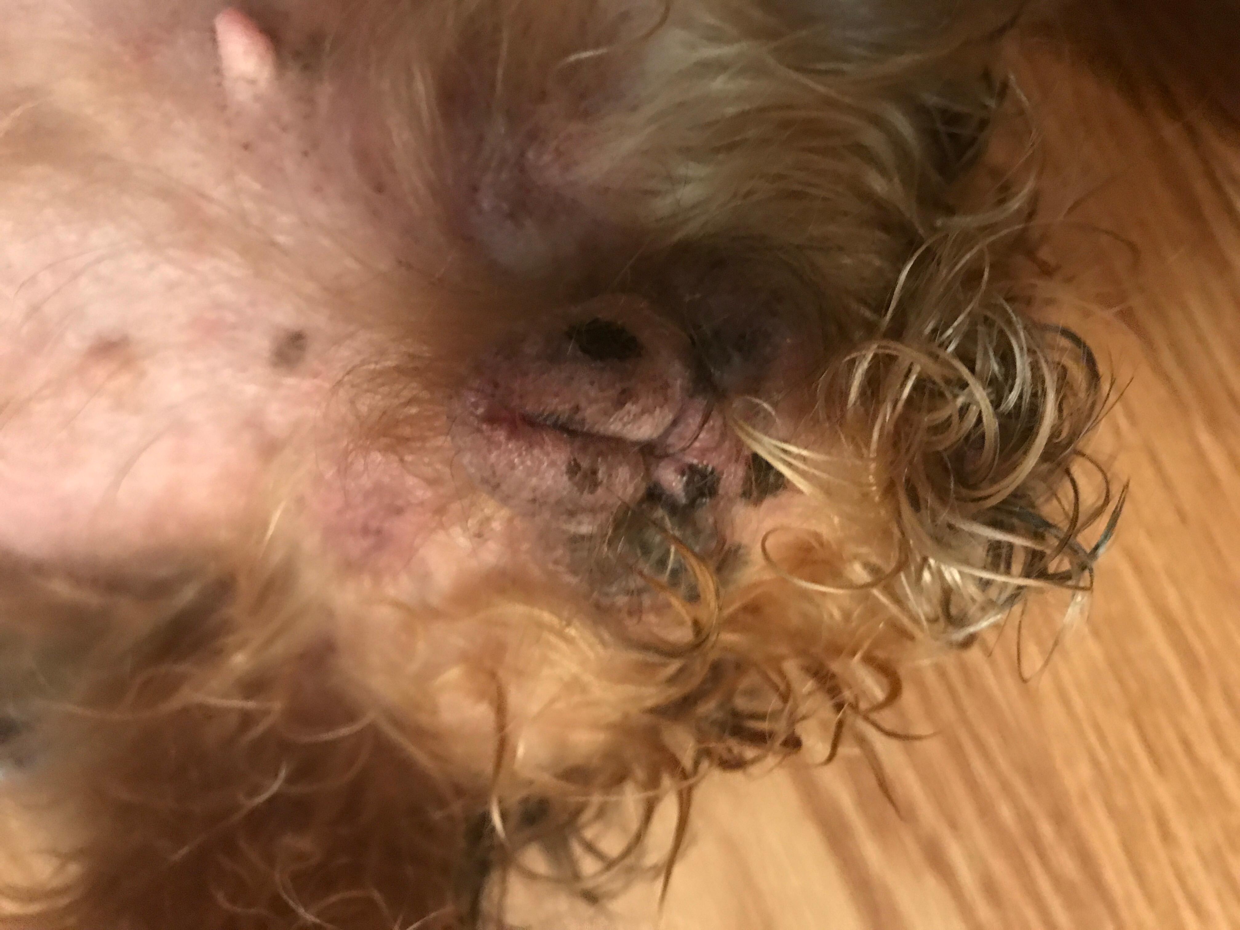 Question details sensitive content