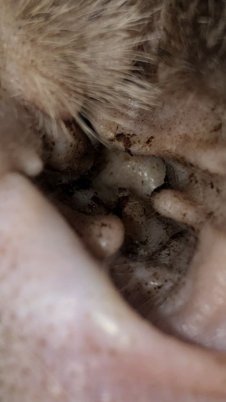 Question details sensitive content