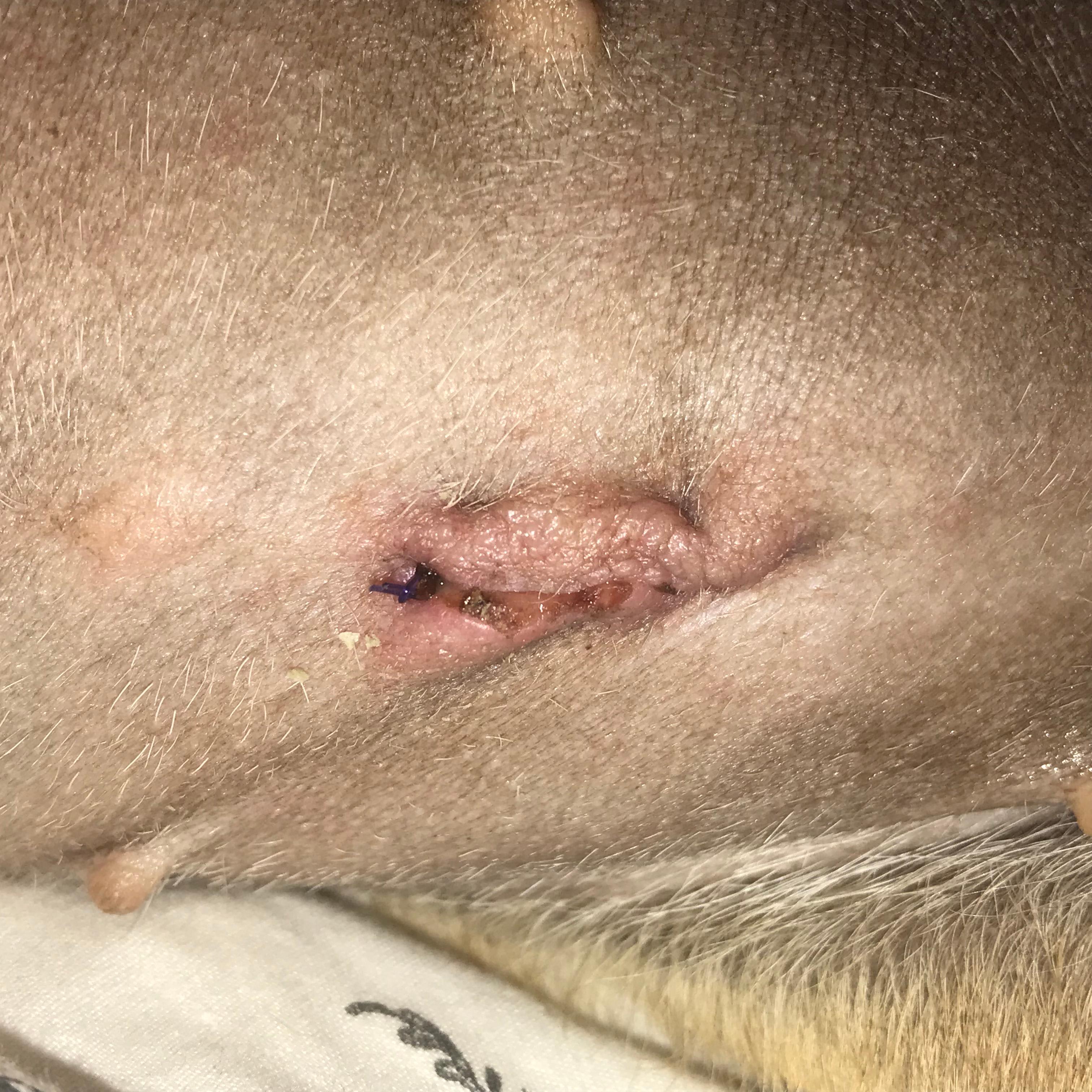 Question details sensitive content