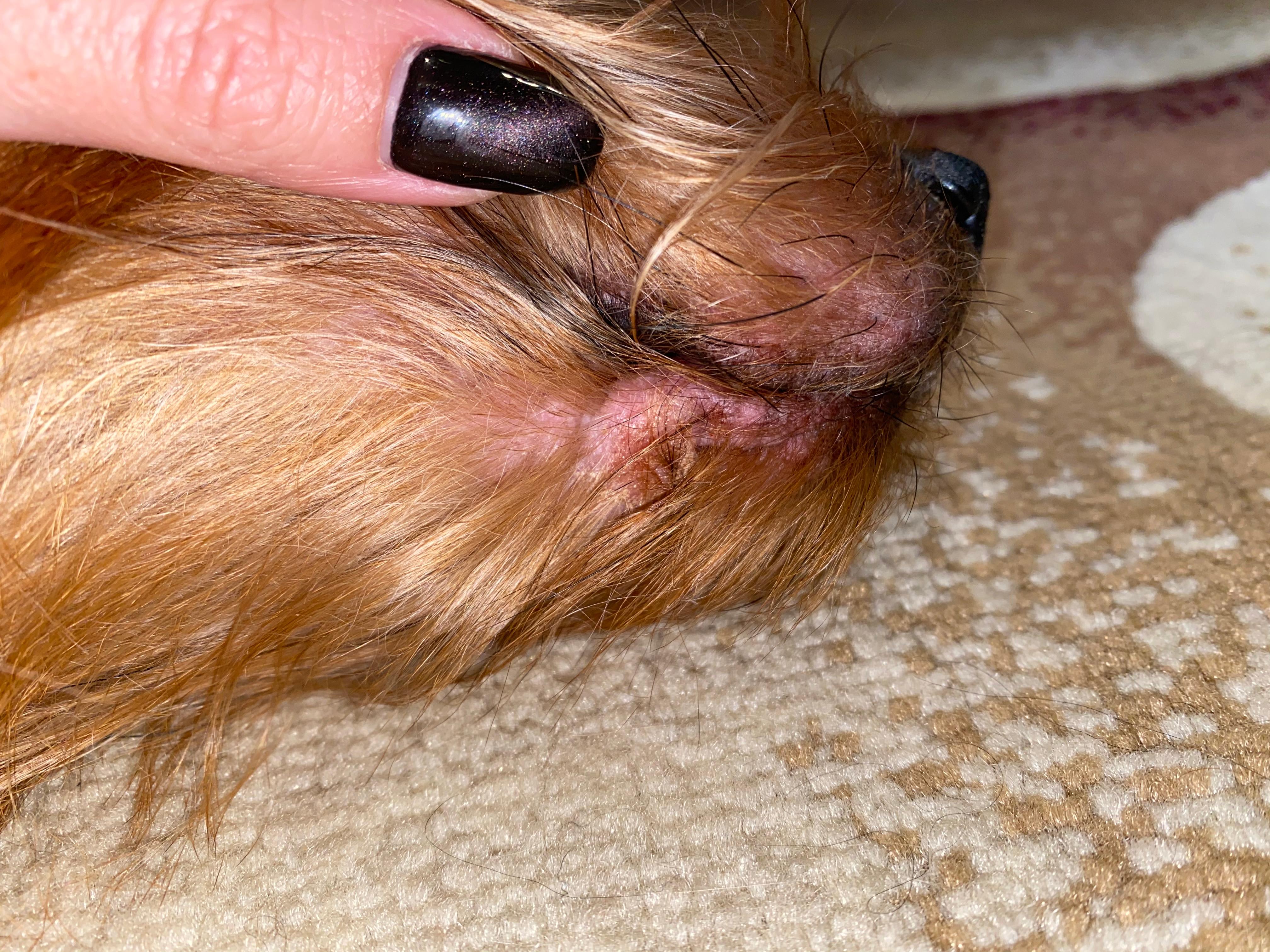 Question details sensitive content