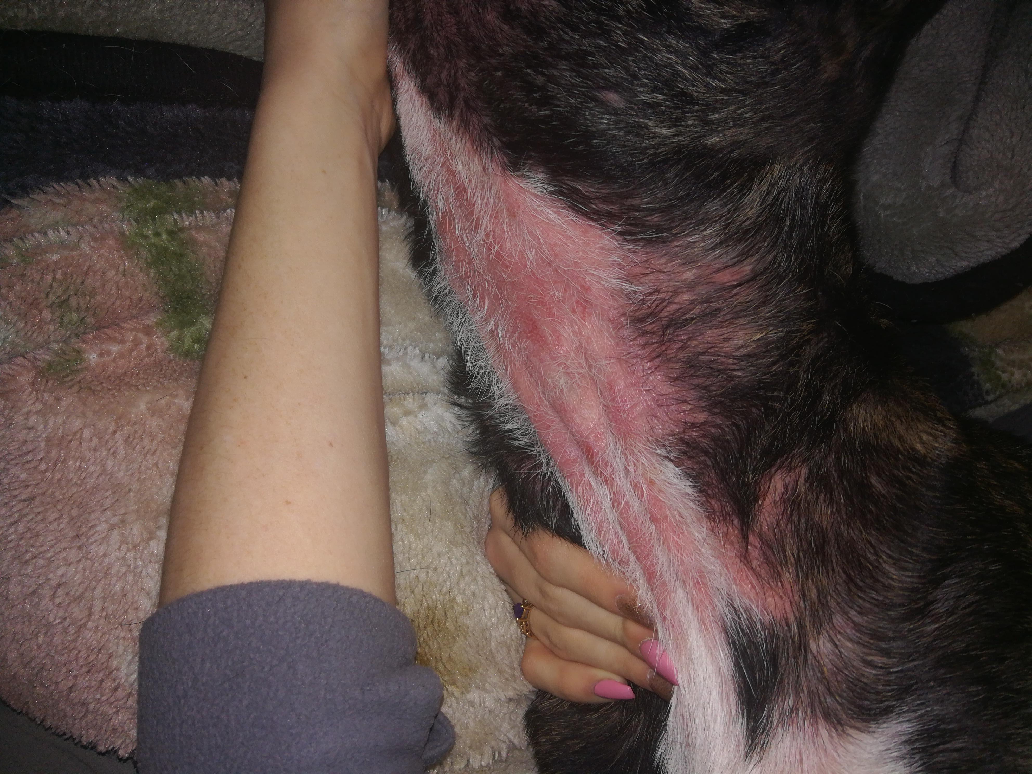 Question details sensitive content