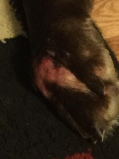 Question details sensitive content