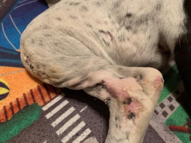 Question details sensitive content