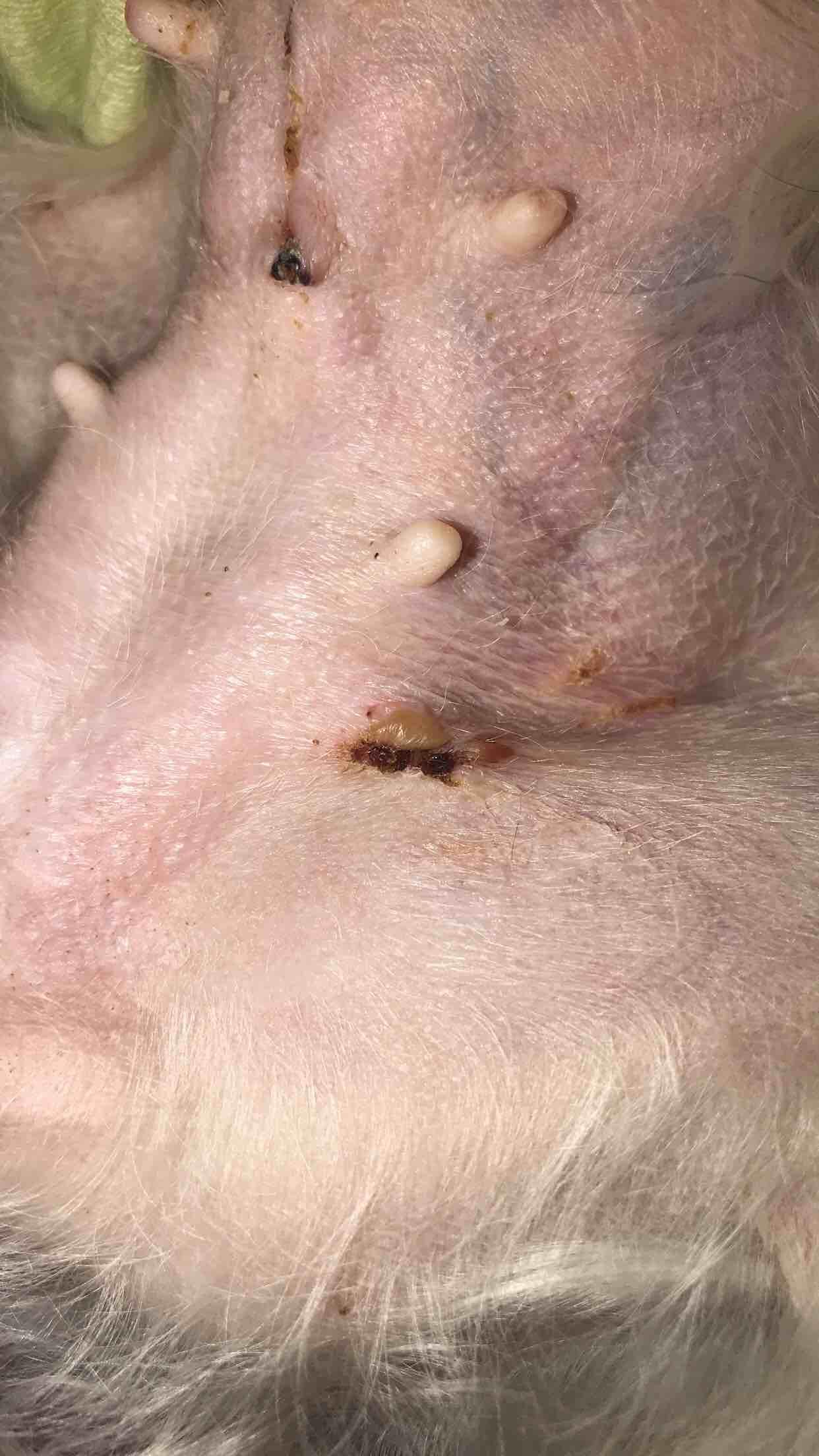 Question details sensitive content