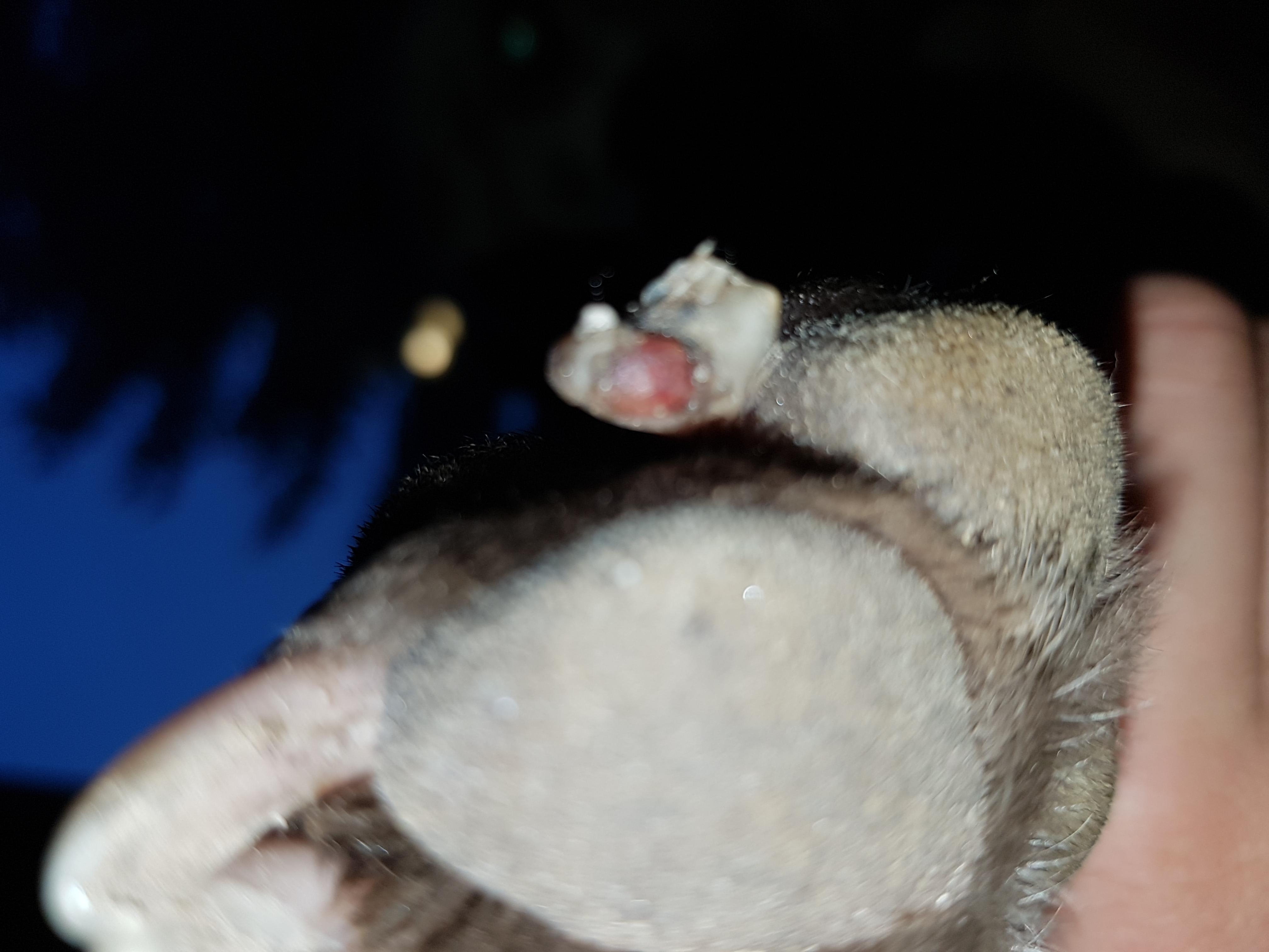 Question details sensitive content