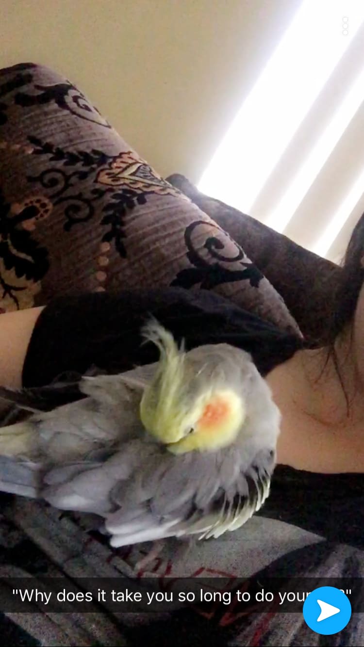 Question details sensitive content