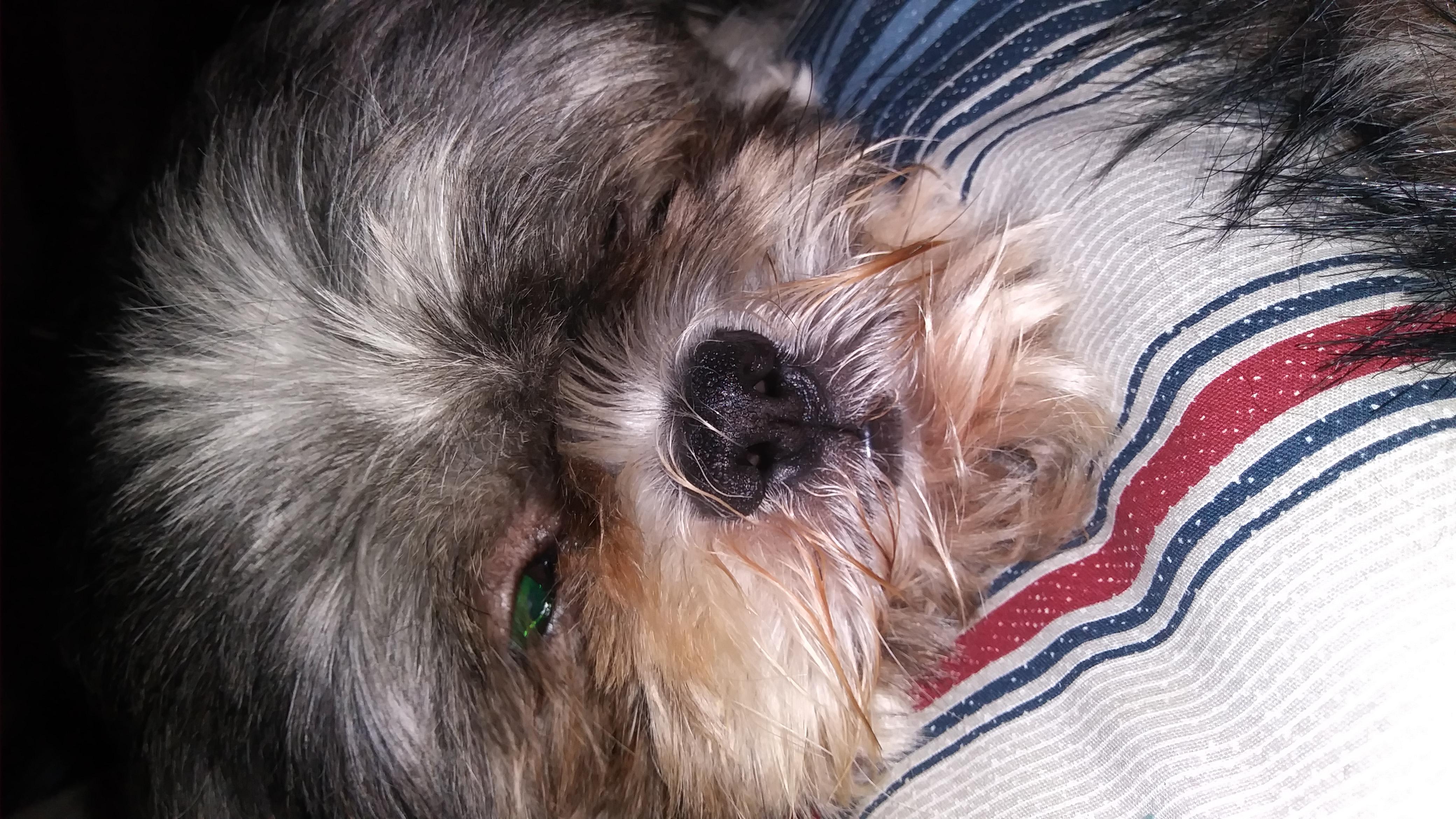 Question details sensitive content